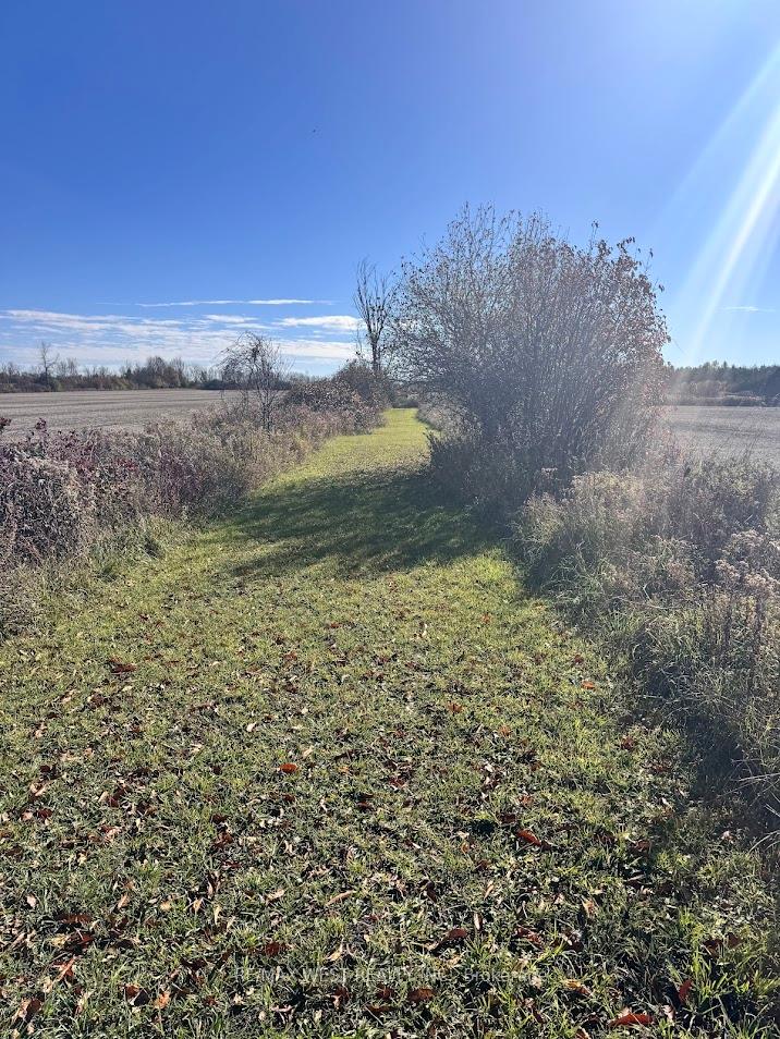 Photo 14 of 211 Queen Street W, Springwater, Elmvale — HOMEH