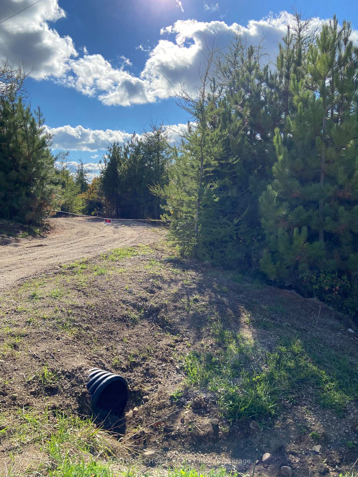 Photo 3 of 793560 124 grey highlands Road, Grey Highlands — HOMEH