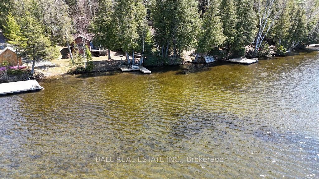 Photo 10 of 1569G Weslemkoon Lake Road, Limerick — HOMEH