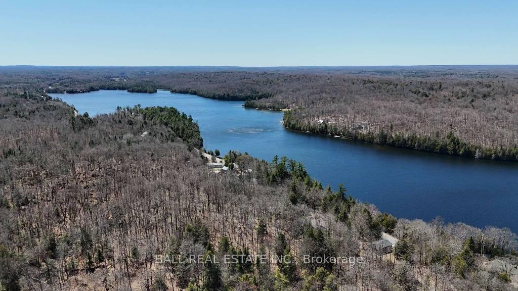 Photo 11 of 1569G Weslemkoon Lake Road, Limerick — HOMEH