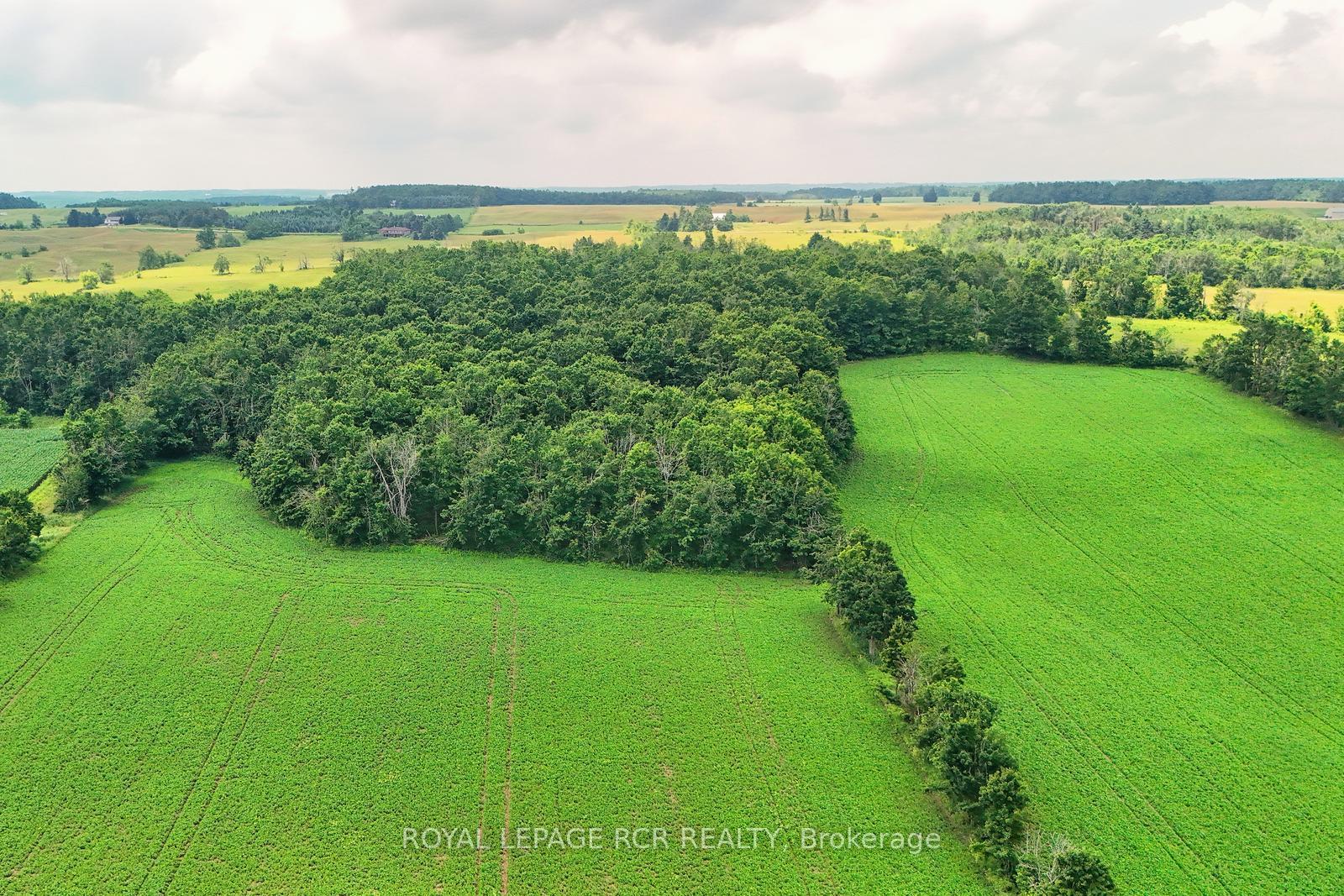 Photo 11 of 716450 1st Line E, Mulmur, Rural Mulmur — HOMEH