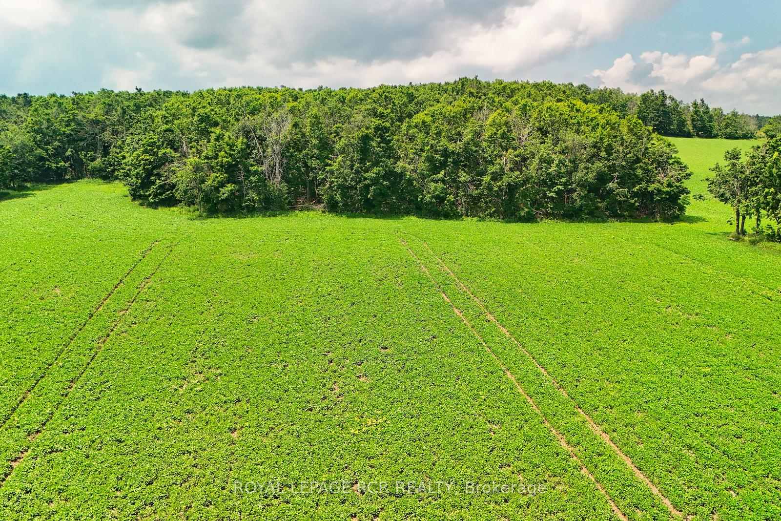 Photo 12 of 716450 1st Line E, Mulmur, Rural Mulmur — HOMEH