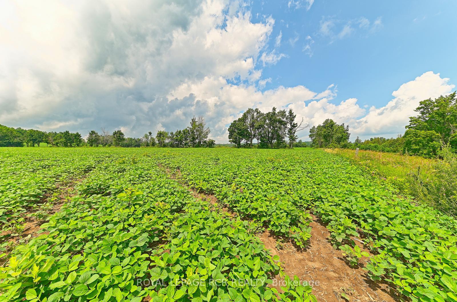 Photo 18 of 716450 1st Line E, Mulmur, Rural Mulmur — HOMEH