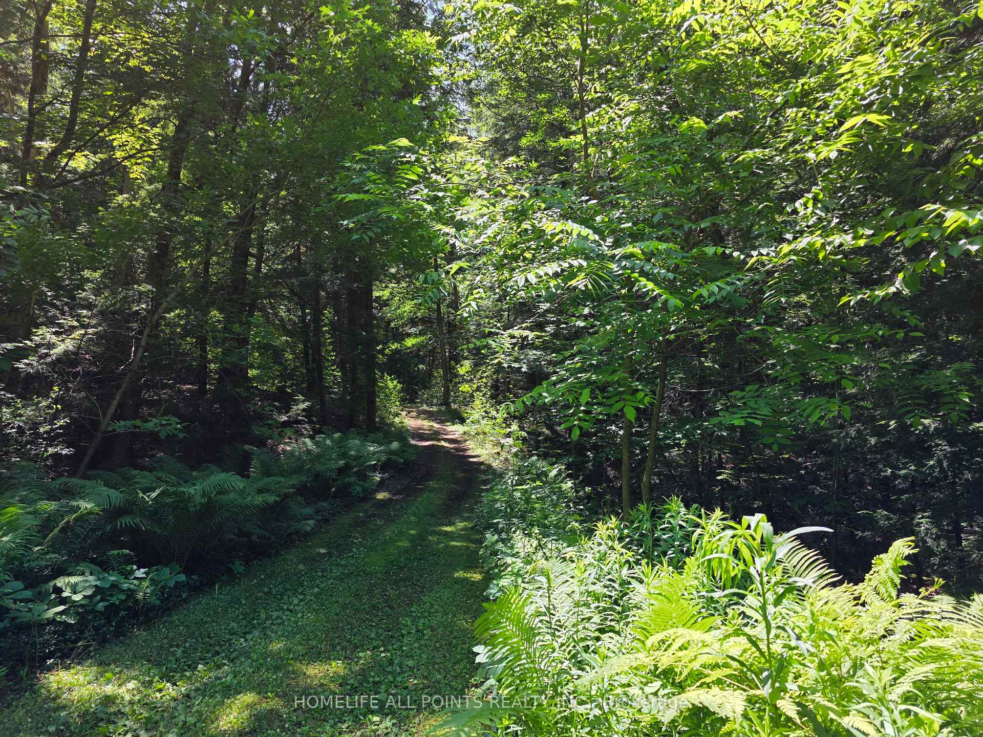 Photo 42 of 7190 93 Highway, Tiny, Rural Tiny — HOMEH