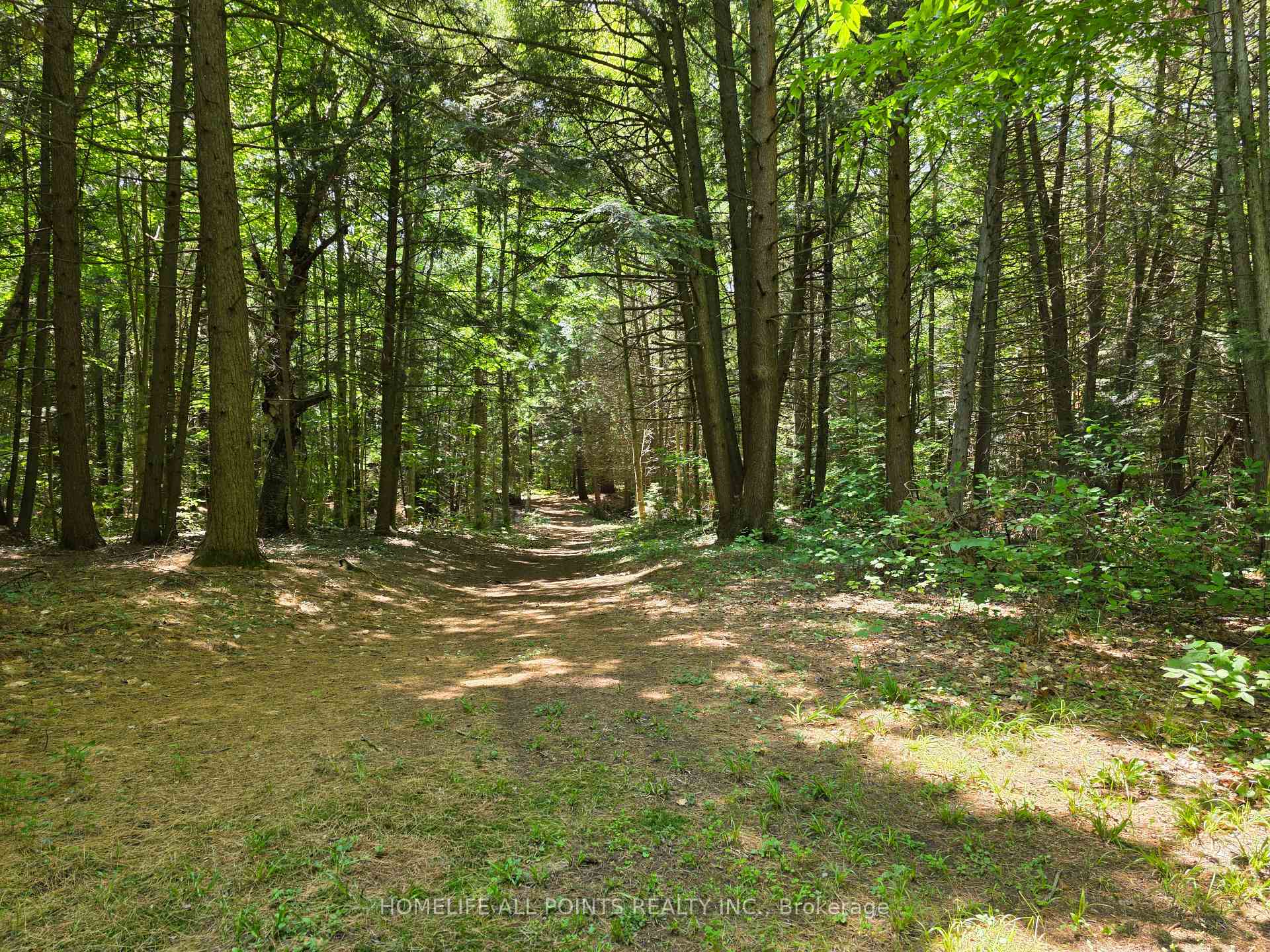 Photo 38 of 7190 93 Highway, Tiny, Rural Tiny — HOMEH