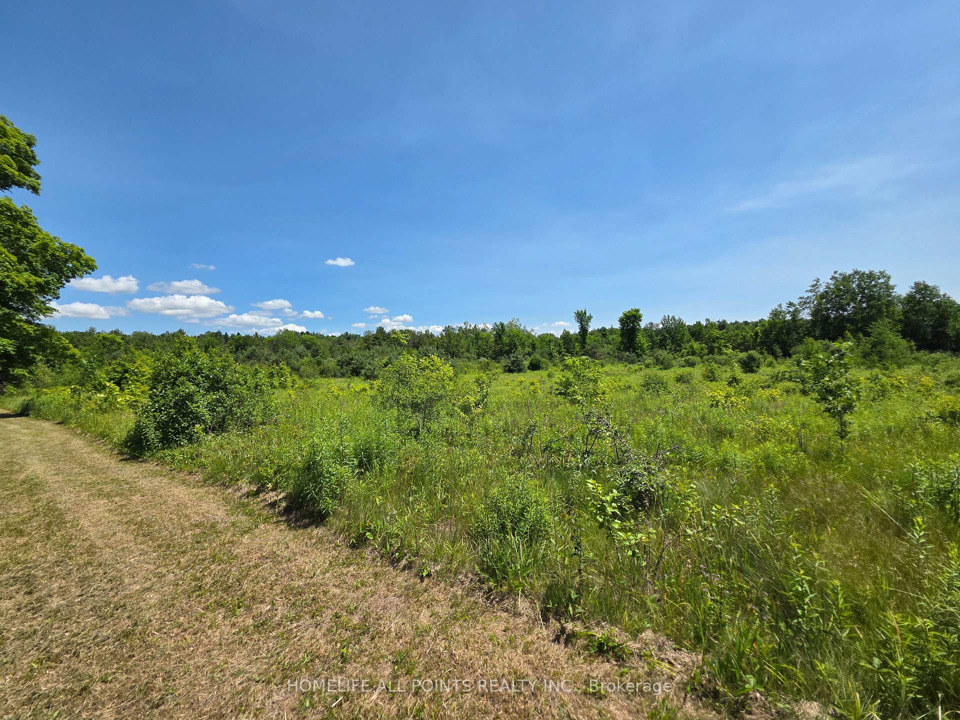 Photo 37 of 7190 93 Highway, Tiny, Rural Tiny — HOMEH