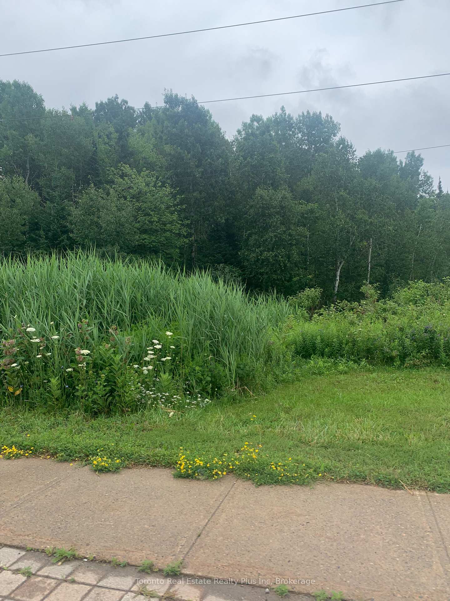 Photo 2 of 131 Second Line East, Sault Ste Marie — HOMEH