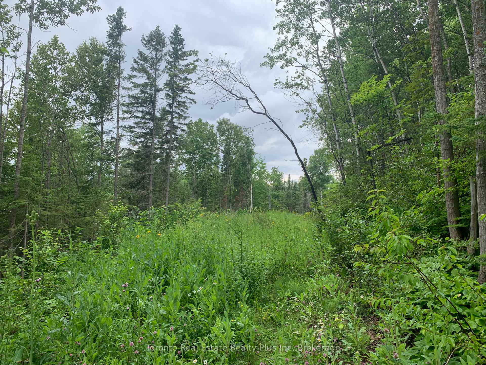 Photo 11 of 131 Second Line East, Sault Ste Marie — HOMEH