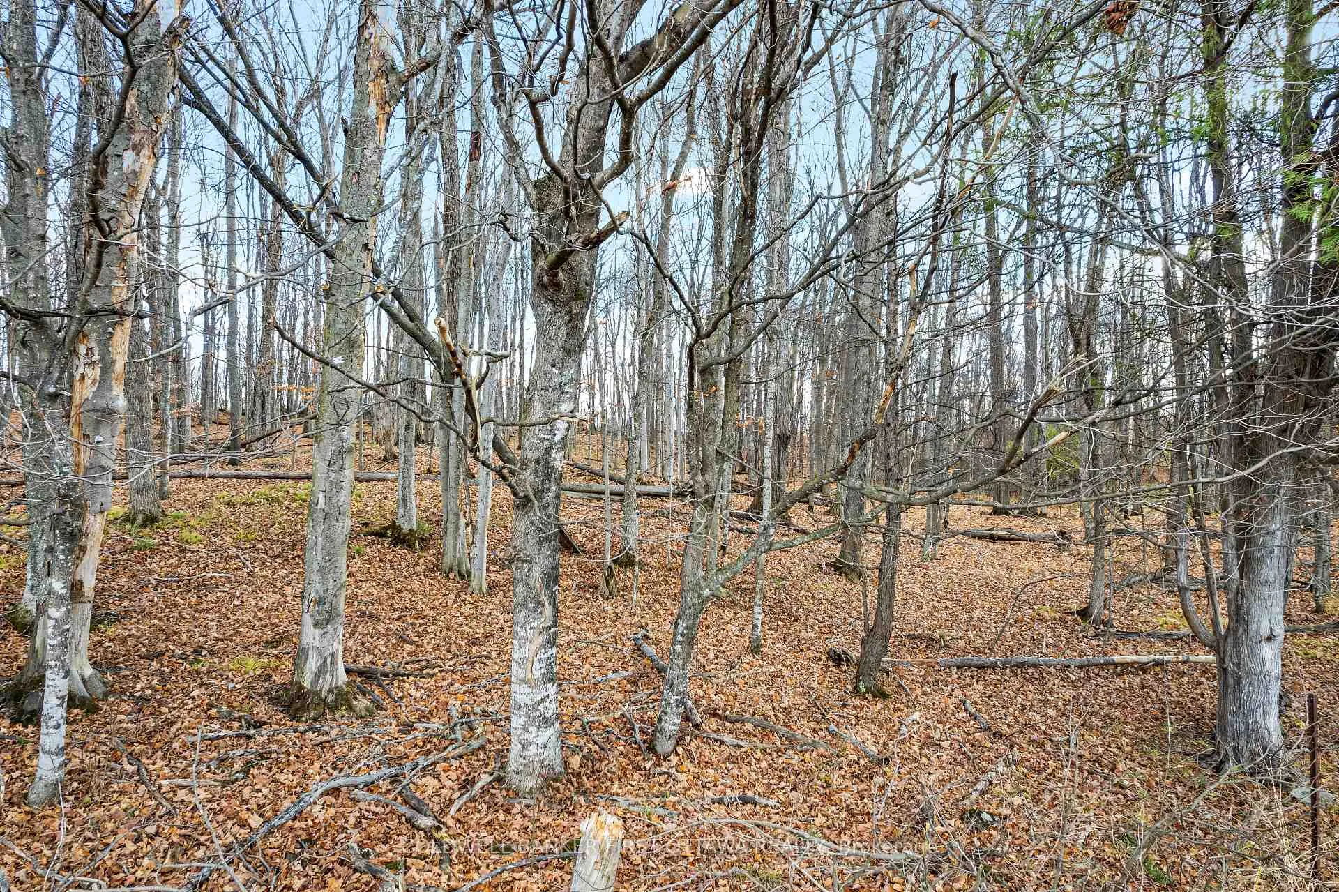 Photo 3 of PT 2-00 Herron Mills Road, Lanark Highlands, Lanark Highlands (Lanark) Twp — HOMEH