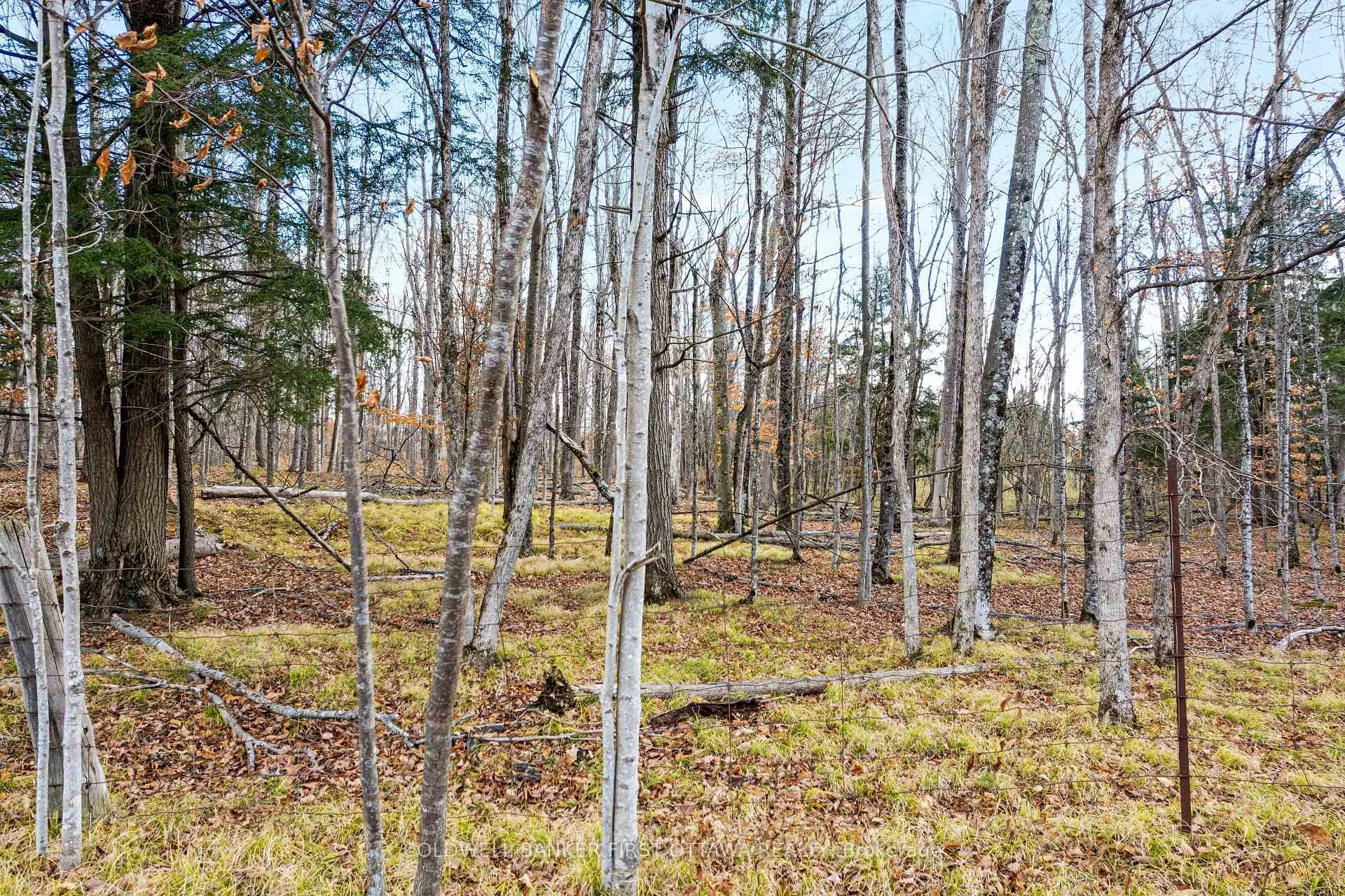 Photo 4 of PT 2-00 Herron Mills Road, Lanark Highlands, Lanark Highlands (Lanark) Twp — HOMEH