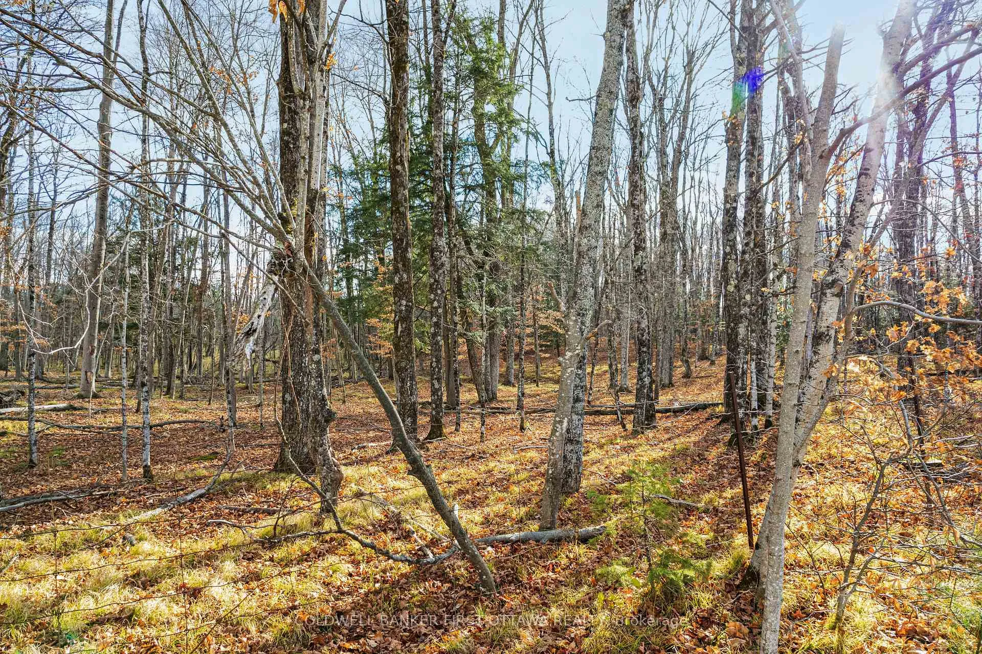 Photo 5 of PT 2-00 Herron Mills Road, Lanark Highlands, Lanark Highlands (Lanark) Twp — HOMEH