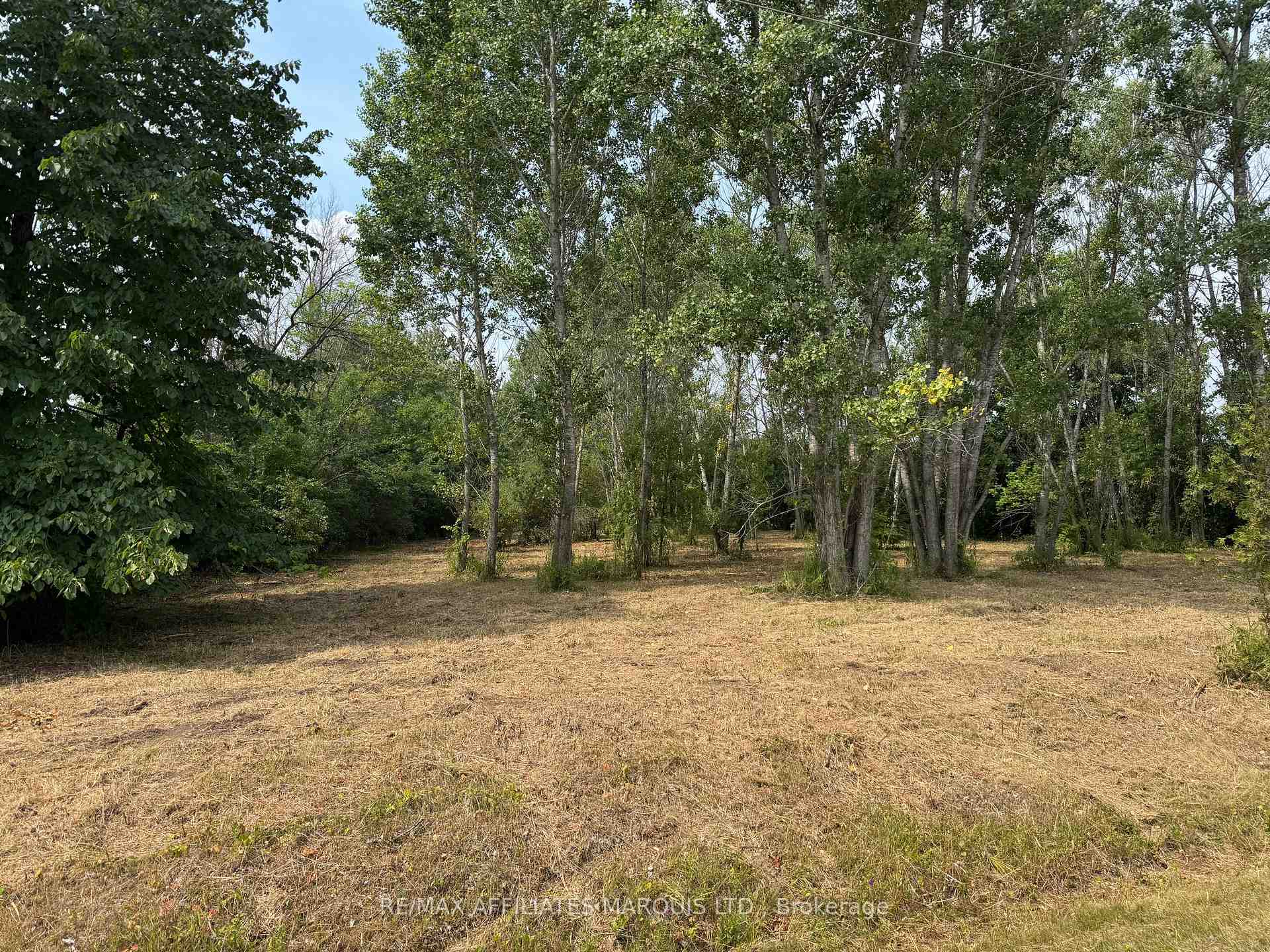 Photo of LOT Archer Road