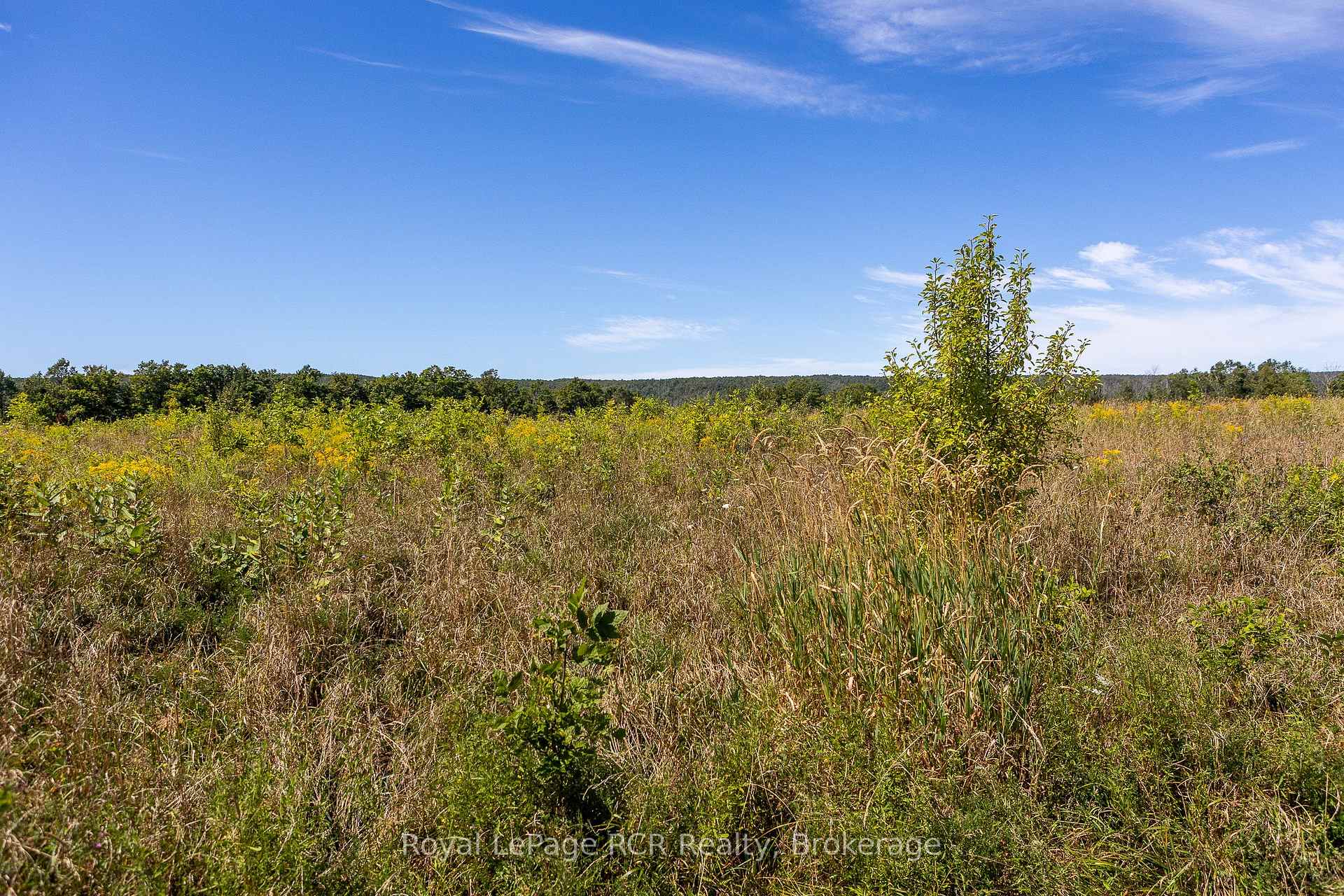 Photo 13 of 634931 Pretty River Road, Grey Highlands — HOMEH