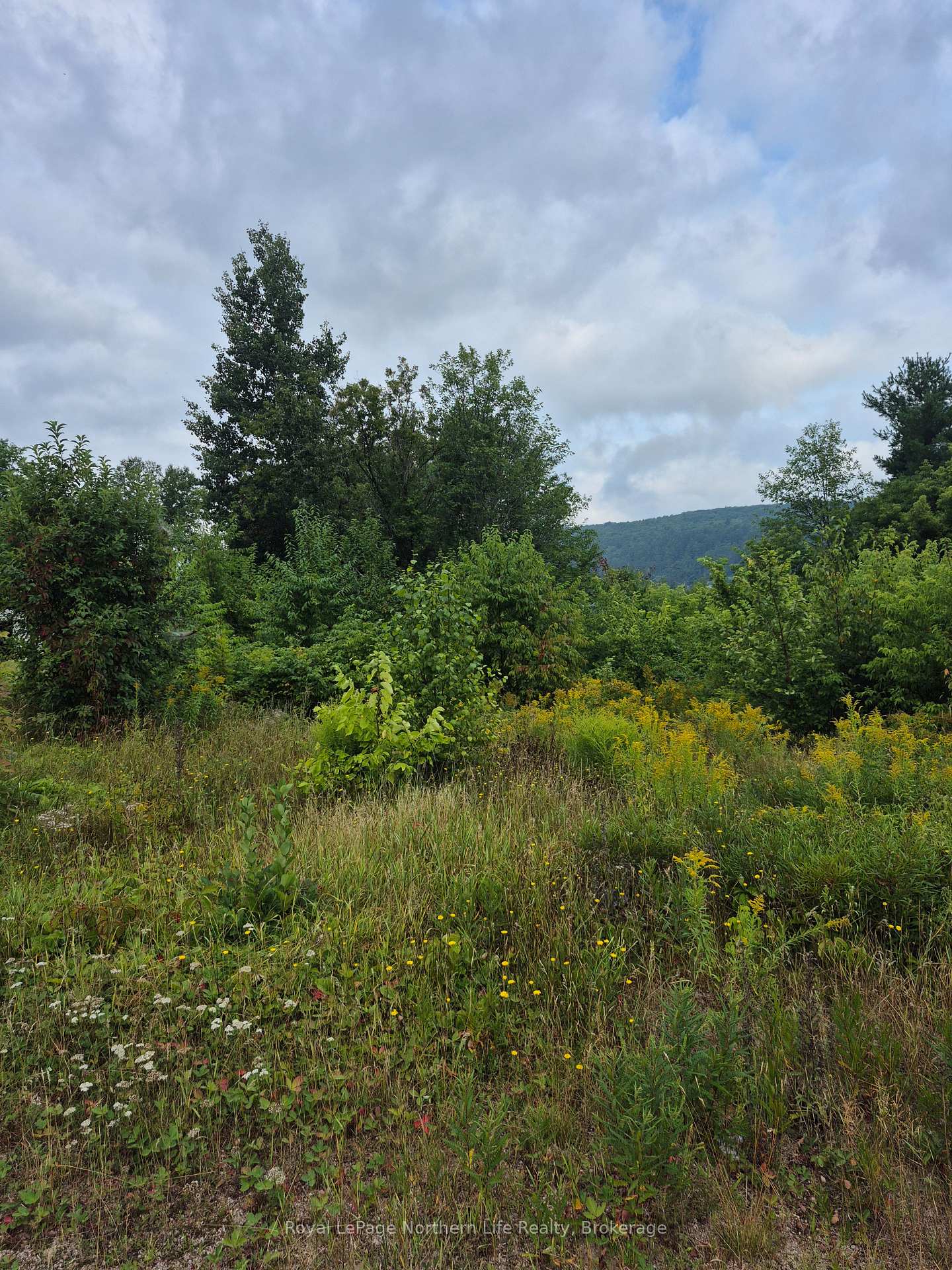 Photo 2 of 560 New Street, Mattawa — HOMEH
