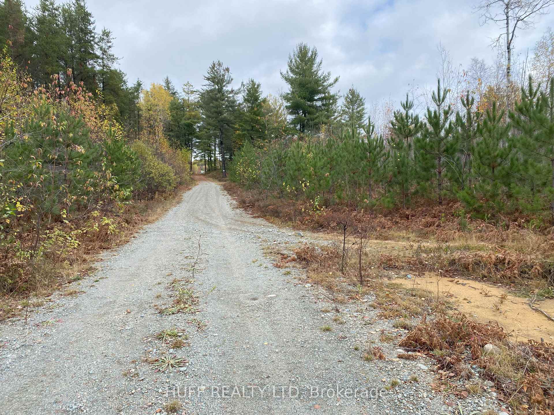 Photo of Lot 1 Con 5 Marter 54R-6396 Road