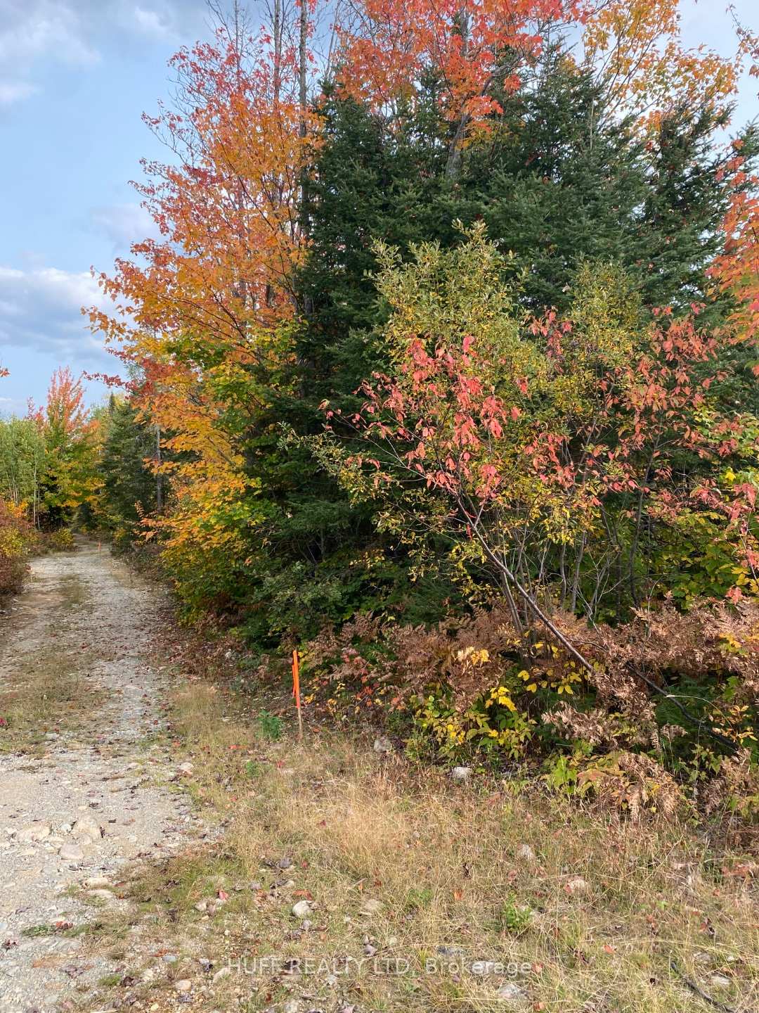Photo of L1C1 54R-6371 Catharine Road