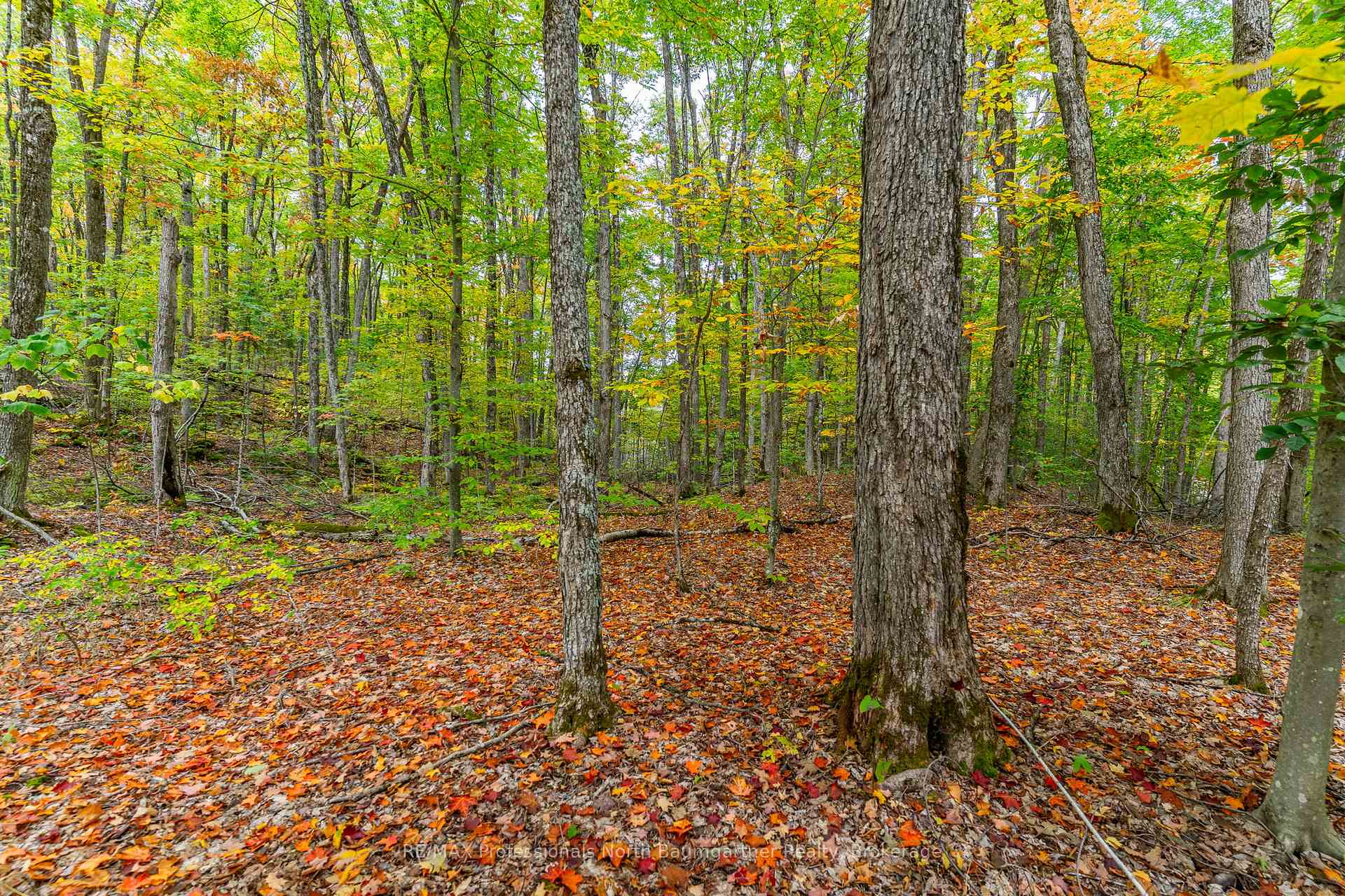 Front of Part Lot 1 Salerno Lake Road