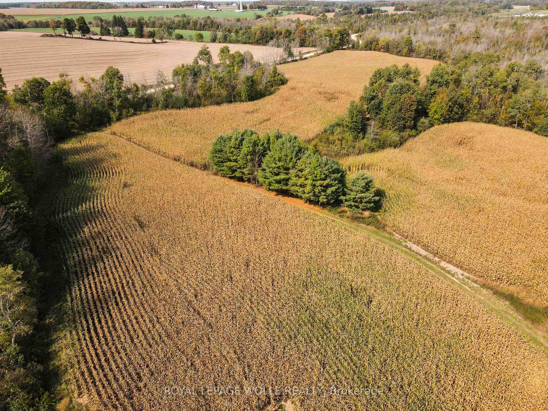 Photo 14 of 89706 Malcolm Line, Howick — HOMEH