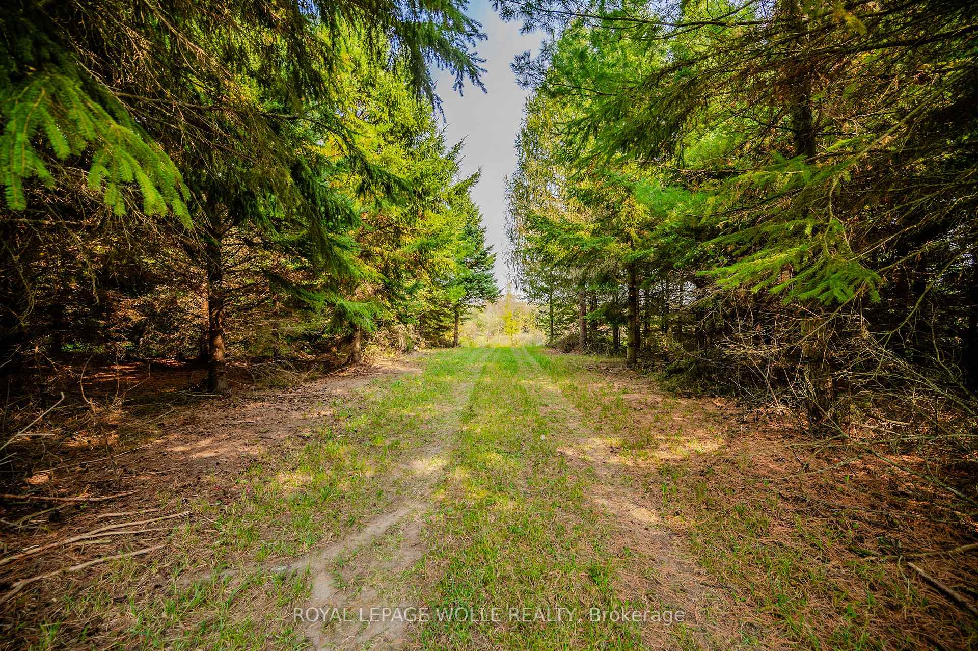 Photo 19 of 89706 Malcolm Line, Howick — HOMEH