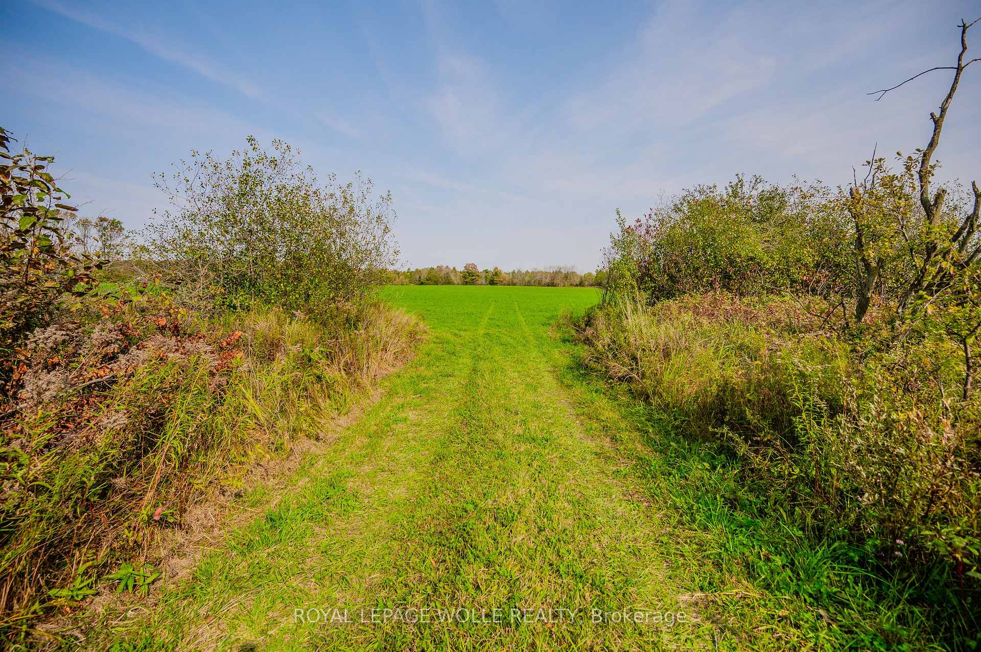Photo 20 of 89706 Malcolm Line, Howick — HOMEH