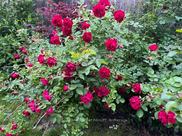 Photo 36 of 970 Parkhurst Boulevard, Ottawa, McKellar Heights/Glabar Park — HOMEH