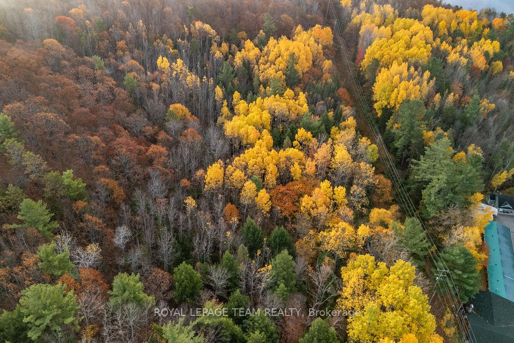 Photo 40 of 00 Highway 62, Madawaska Valley, Madawaska Valley — HOMEH
