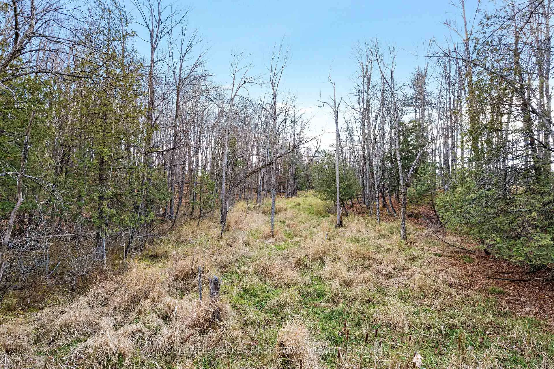 Photo of PT 1-00 Herron Mills Road