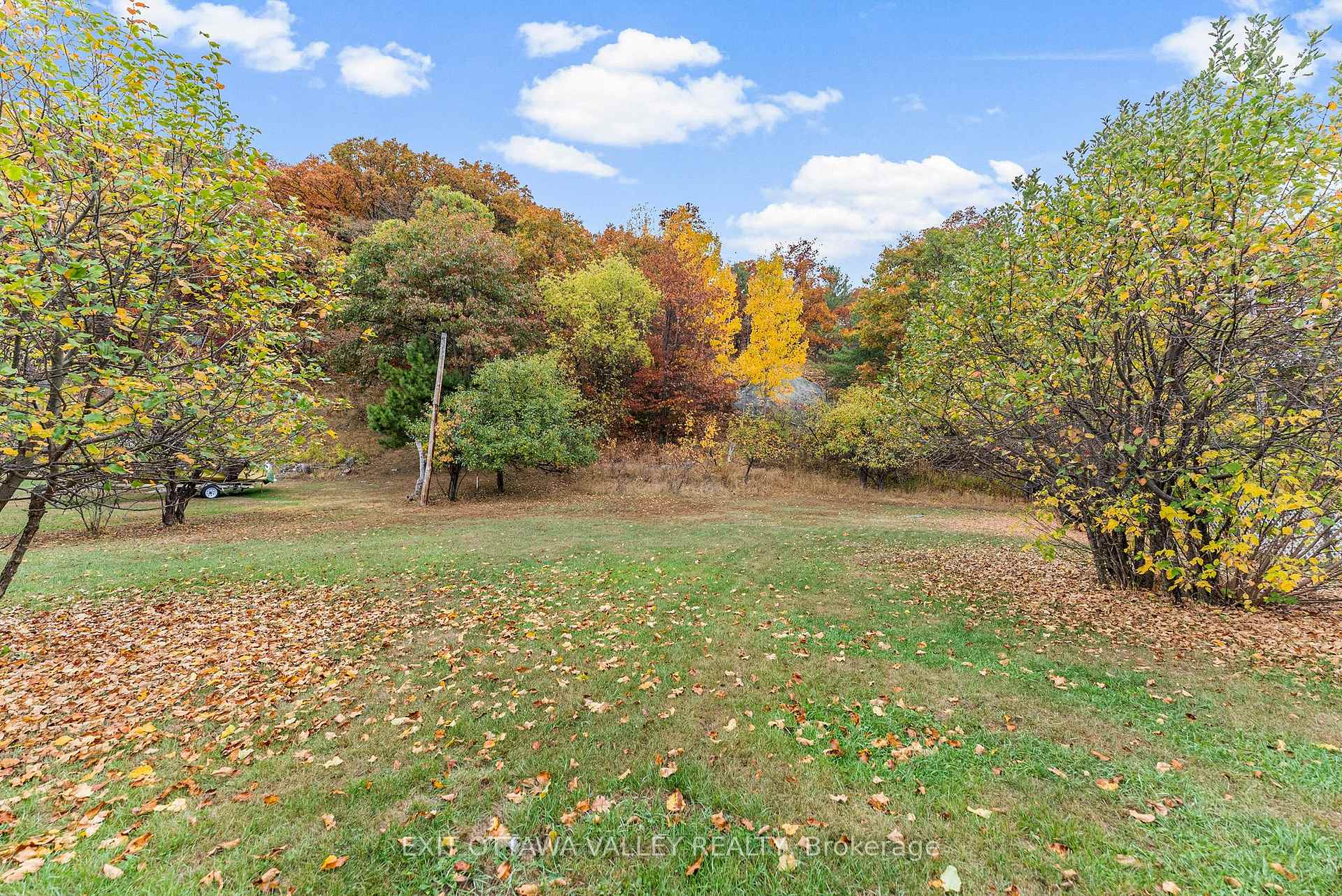 Photo 3 of 48 Needham Street, Madawaska Valley, Madawaska Valley — HOMEH