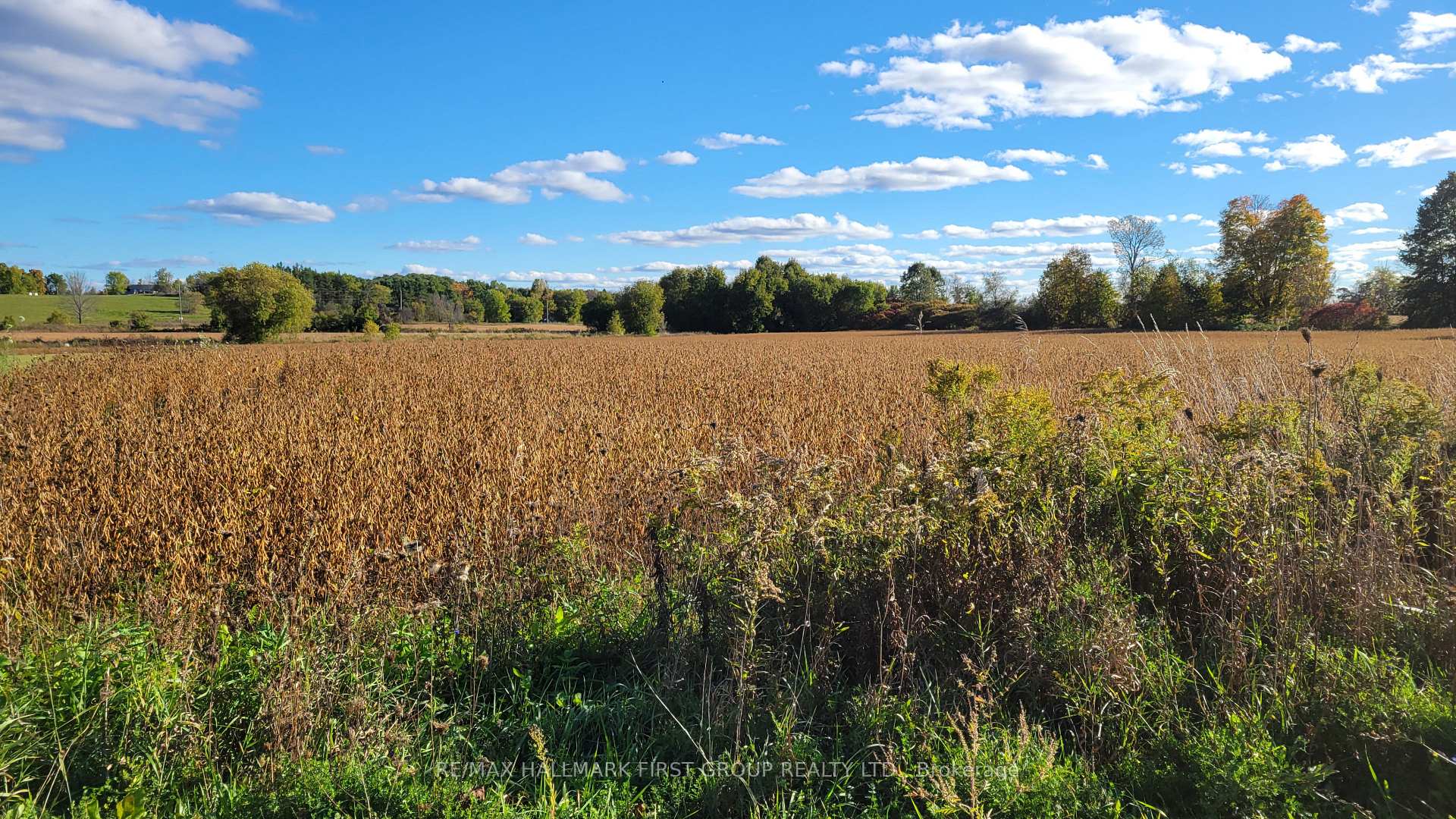 Photo 1 of Part 3 Highway 7, Madoc — HOMEH