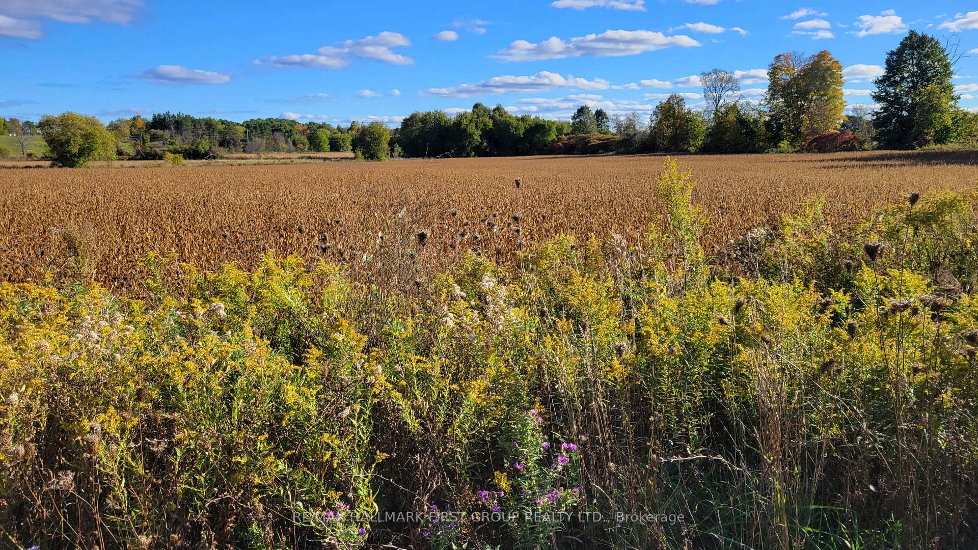 Photo 3 of Part 3 Highway 7, Madoc — HOMEH