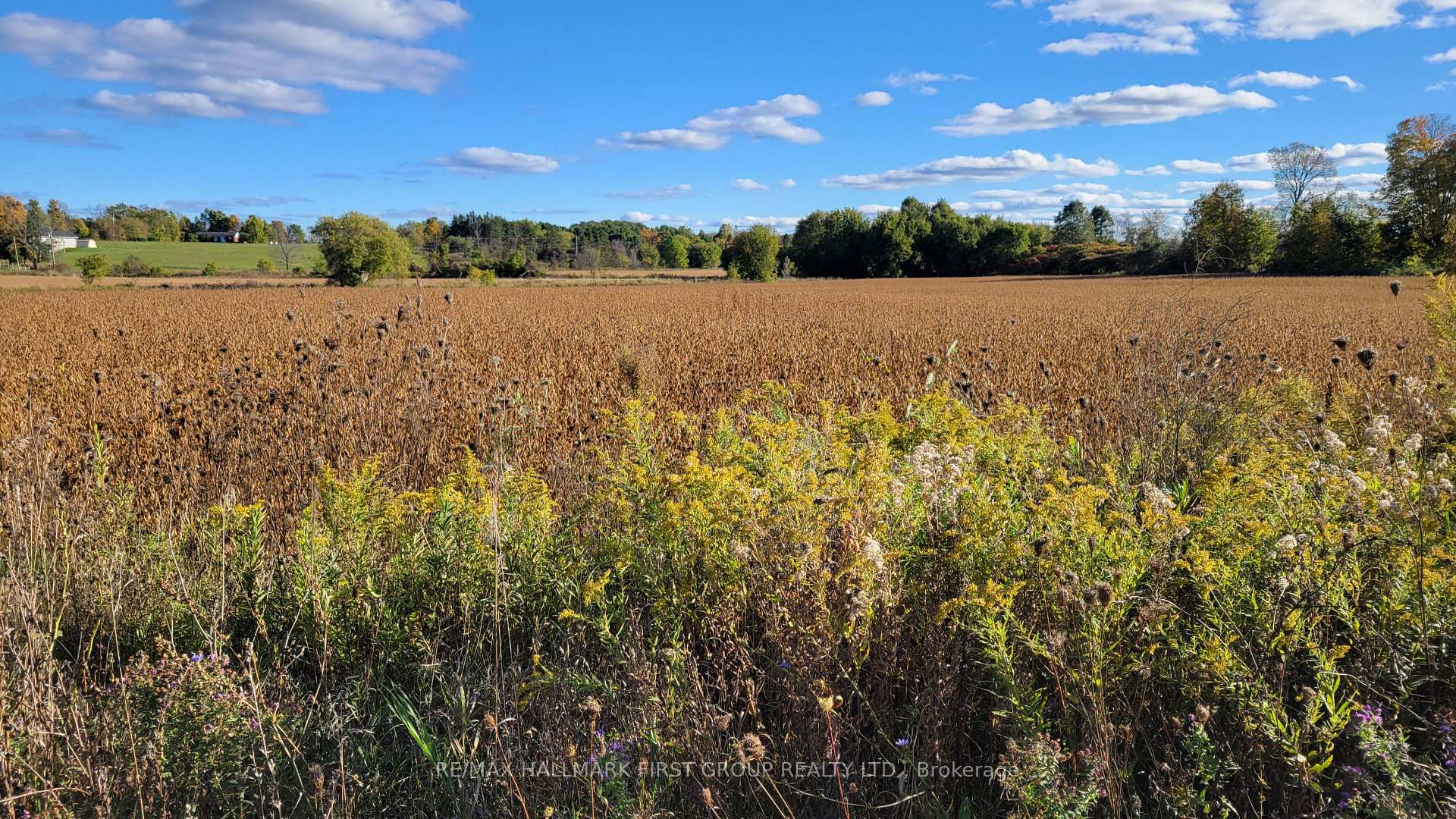 Photo 4 of Part 3 Highway 7, Madoc — HOMEH