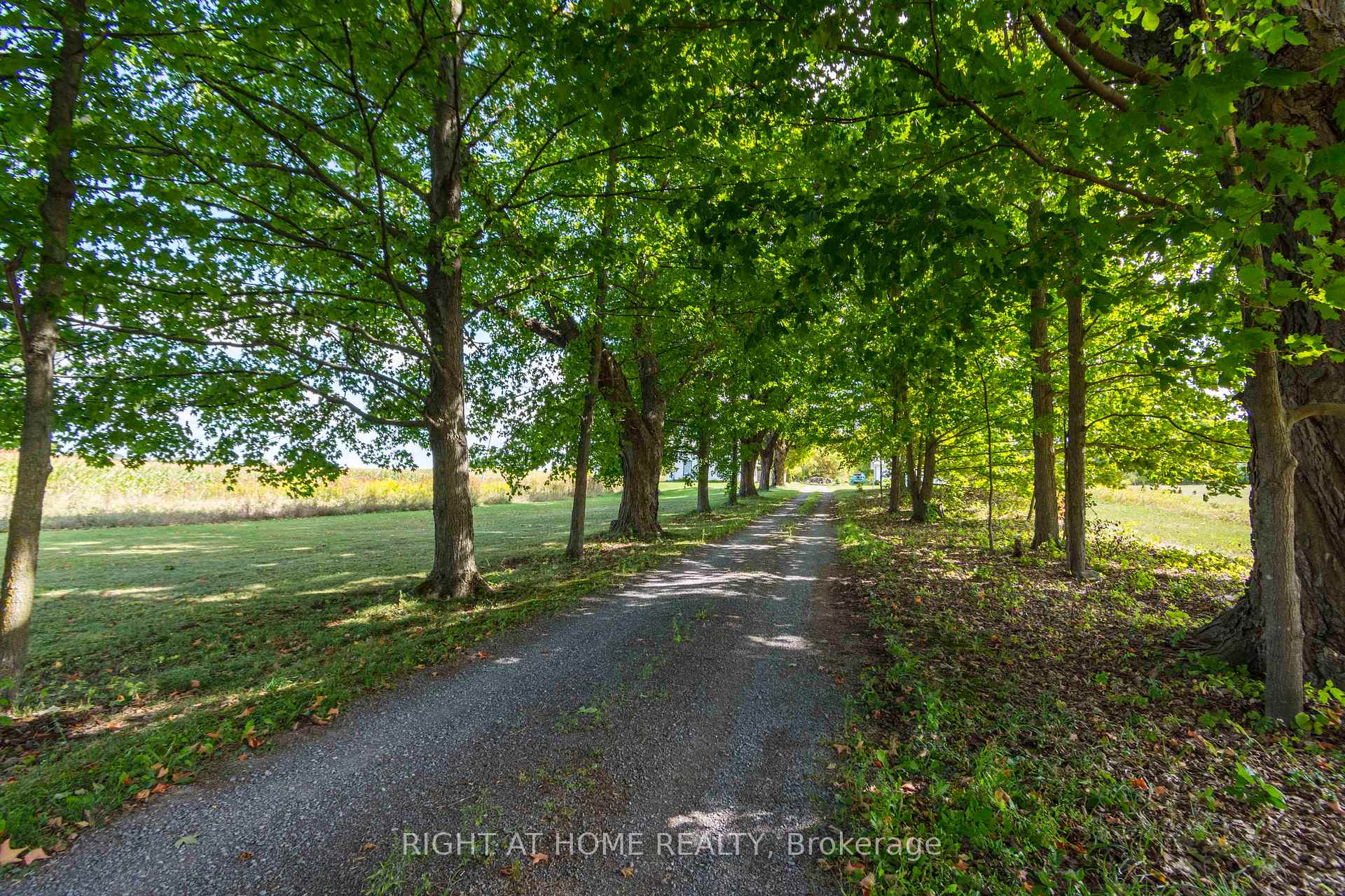 Photo 2 of 7 Pitts Landing Road, Madoc — HOMEH