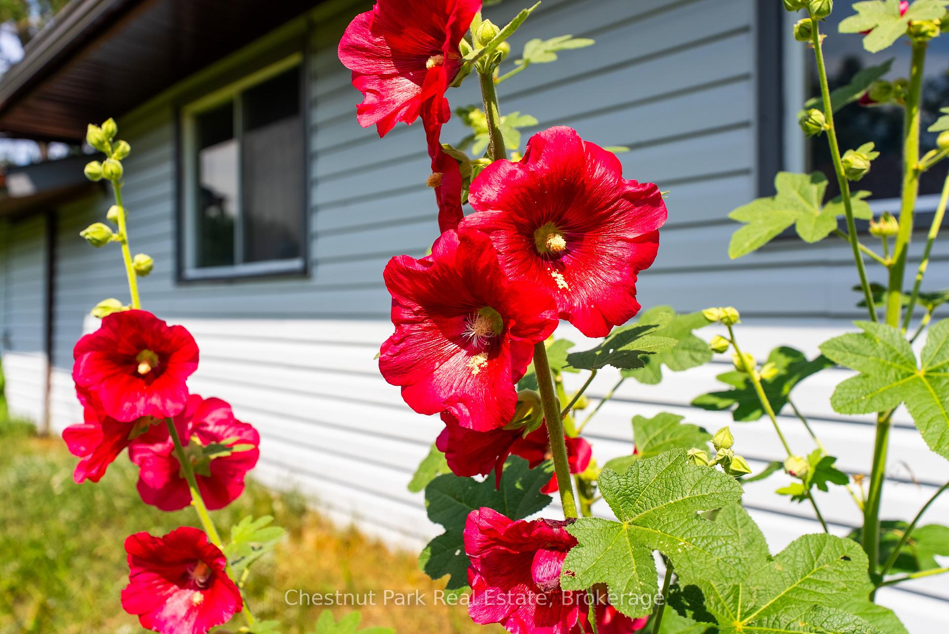 Photo 26 of 8 Dandelion Lane, Bracebridge, Monck (Bracebridge) — HOMEH