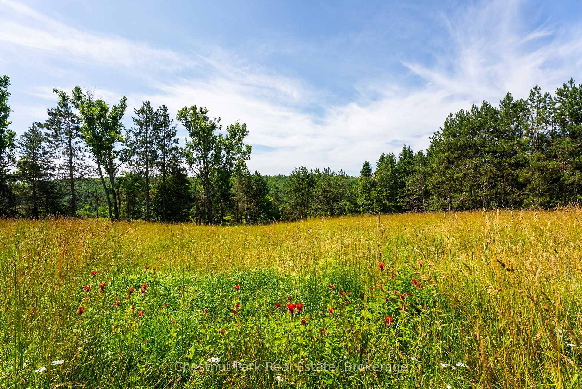 Photo 16 of 8 Dandelion Lane, Bracebridge, Monck (Bracebridge) — HOMEH