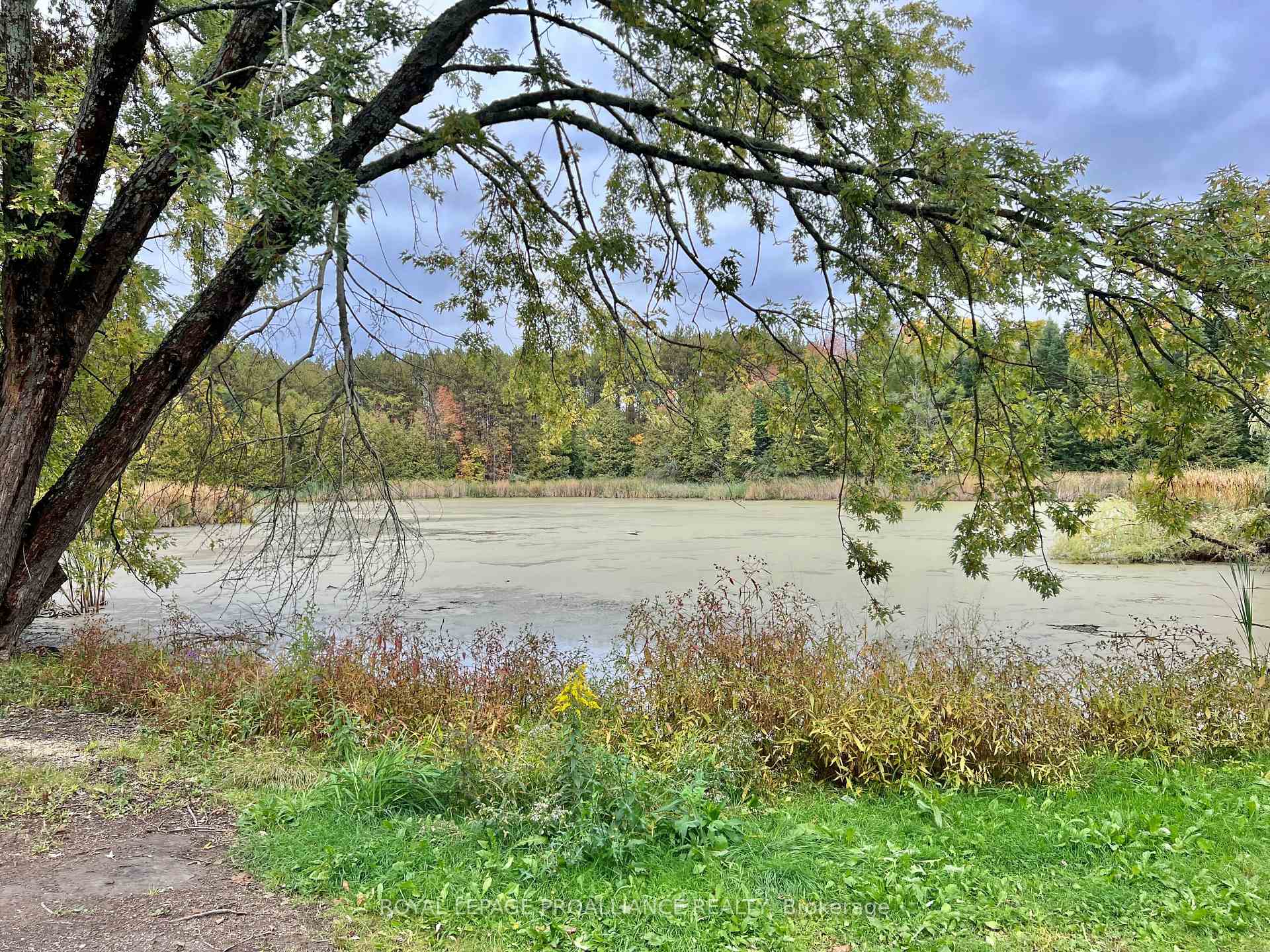 Photo 32 of 16124 Highway 62, Madoc — HOMEH