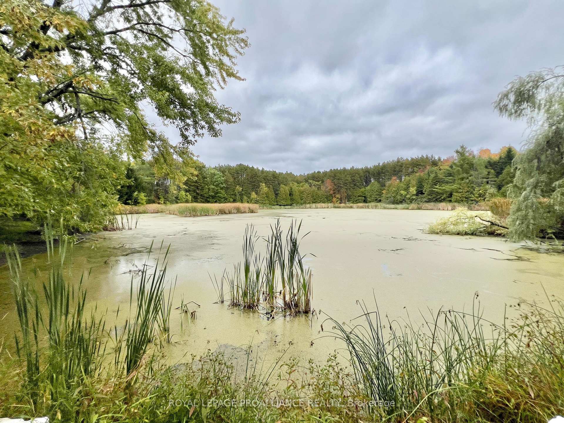 Photo 33 of 16124 Highway 62, Madoc — HOMEH