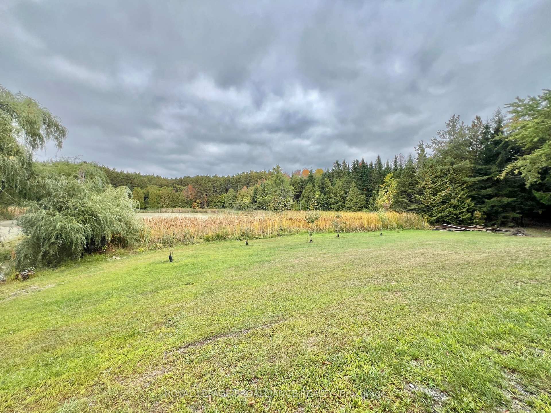 Photo 34 of 16124 Highway 62, Madoc — HOMEH