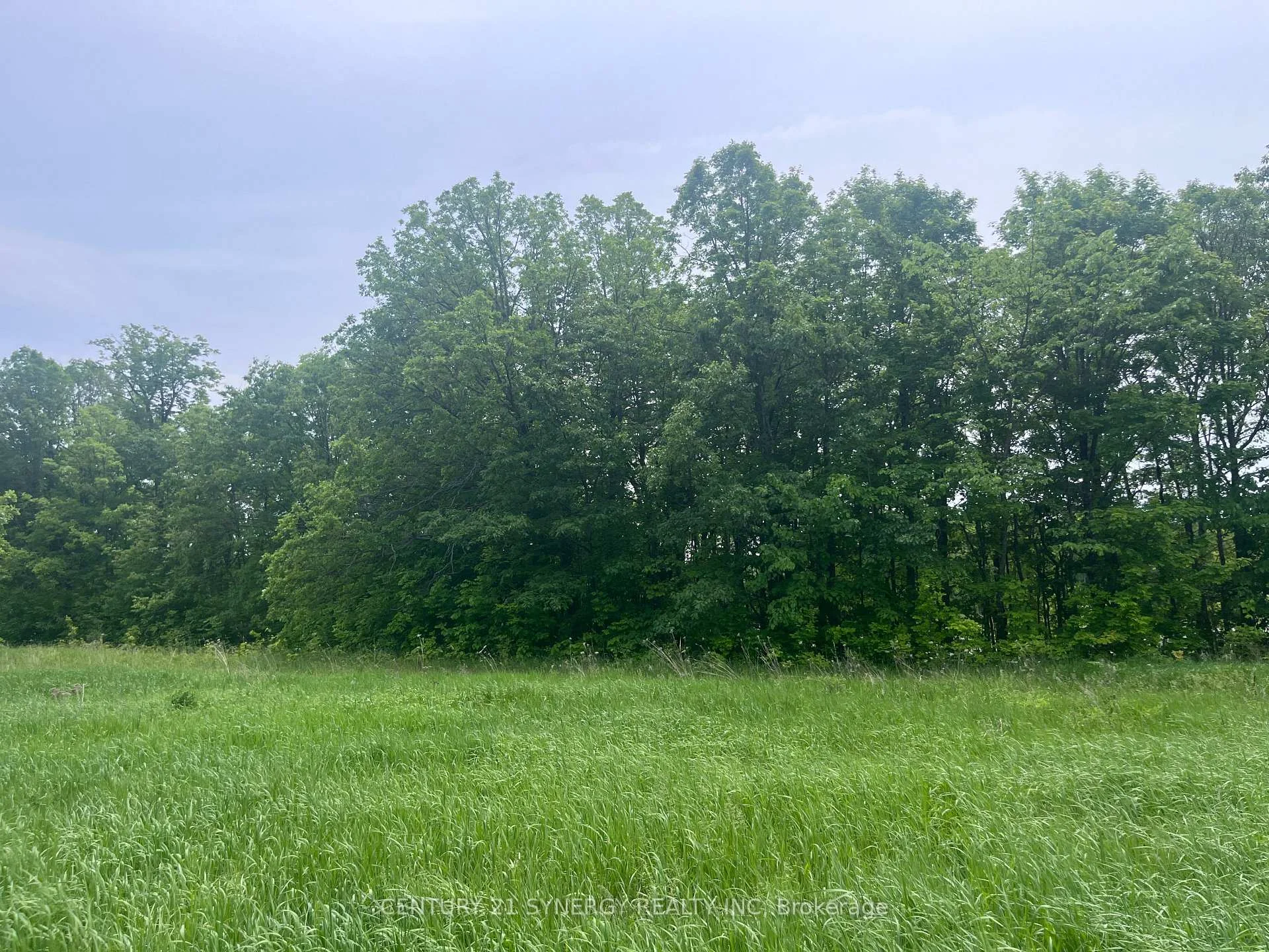 Photo 11 of 36 Paul A Bertrand Drive, McNab/Braeside, Mcnab/Braeside Twps — HOMEH