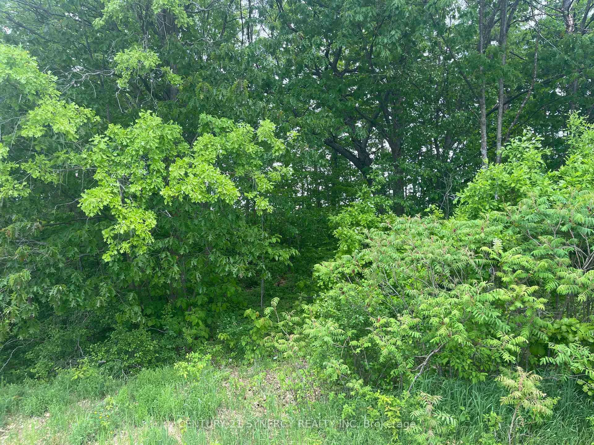 Photo 17 of 36 Paul A Bertrand Drive, McNab/Braeside, Mcnab/Braeside Twps — HOMEH