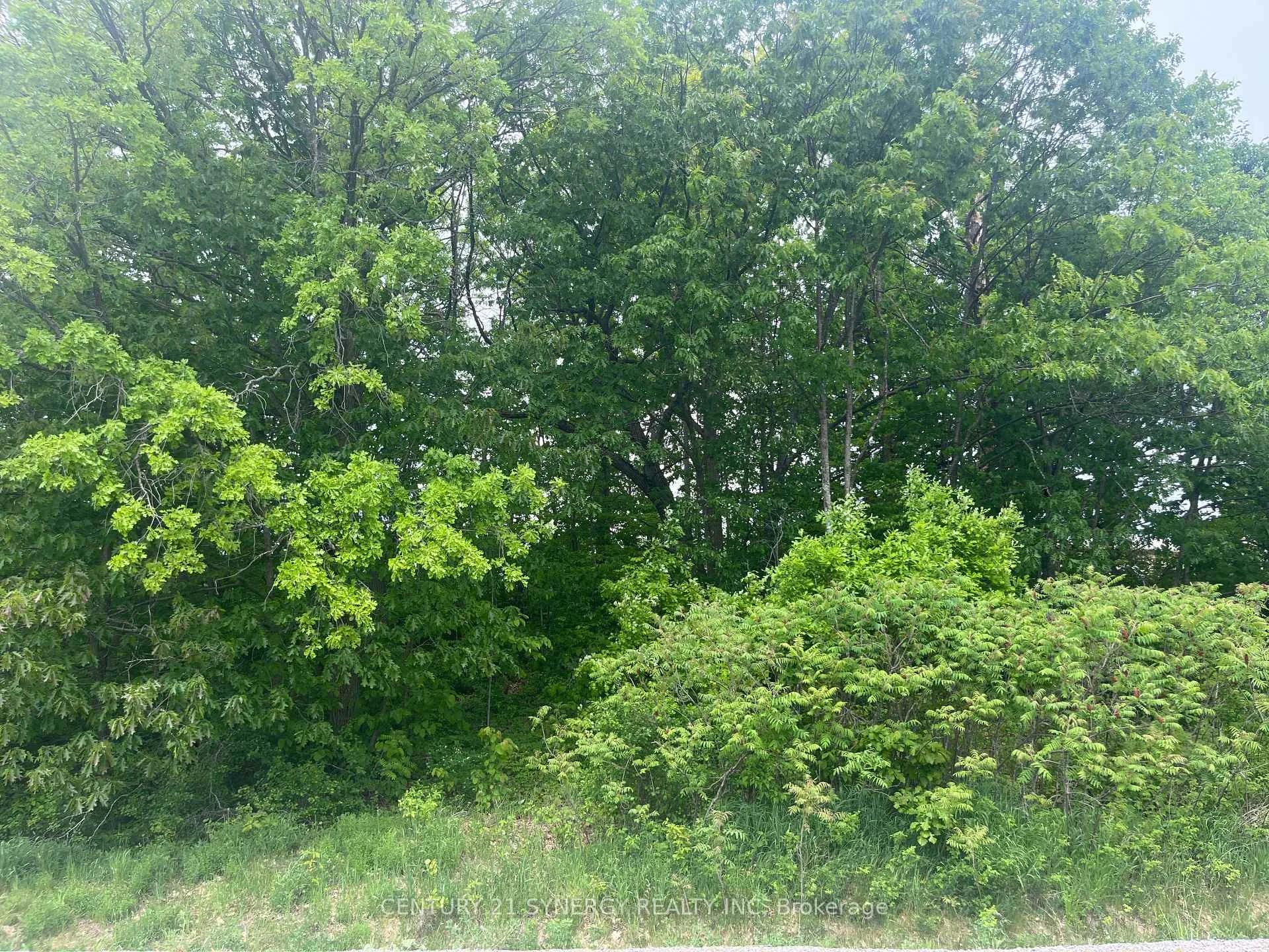 Photo 18 of 36 Paul A Bertrand Drive, McNab/Braeside, Mcnab/Braeside Twps — HOMEH
