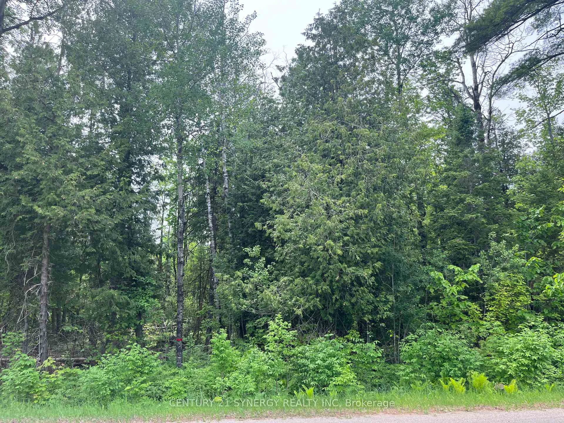 Photo 2 of 00 Bellamy Road, McNab/Braeside, Mcnab/Braeside Twps — HOMEH