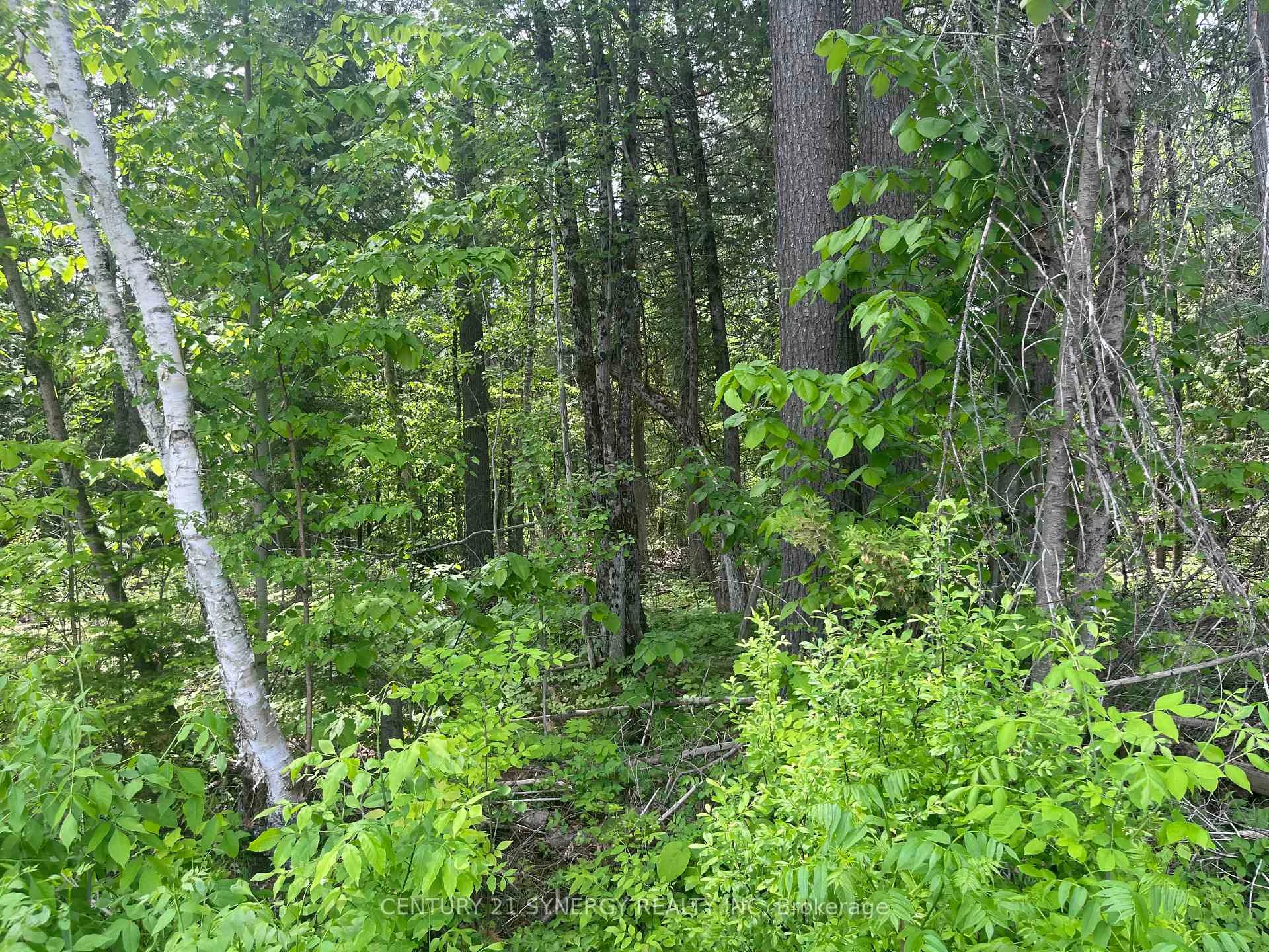 Photo 6 of 00 Bellamy Road, McNab/Braeside, Mcnab/Braeside Twps — HOMEH