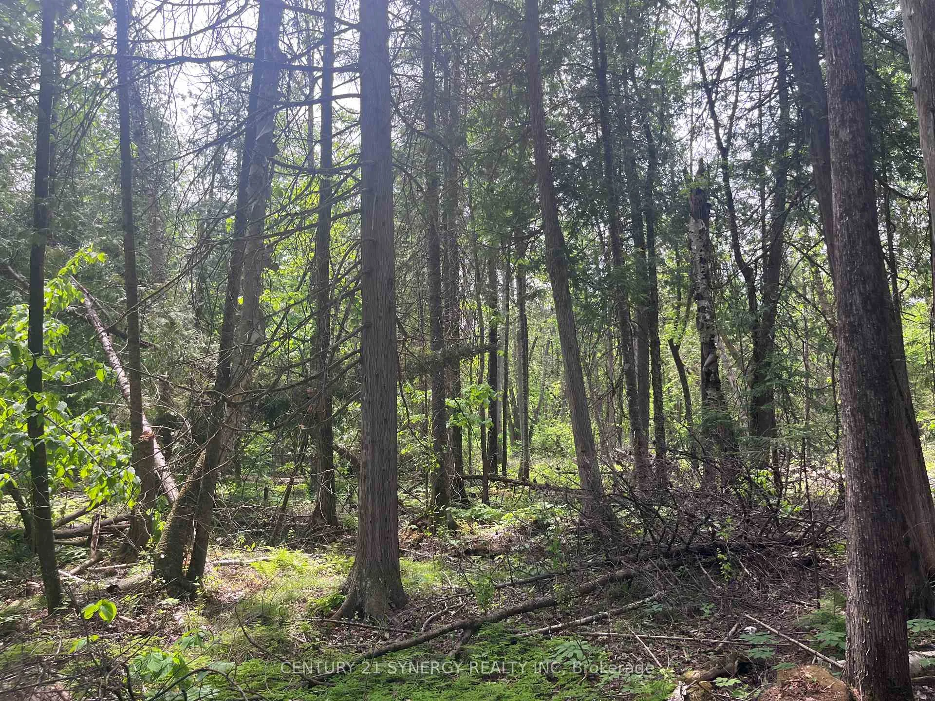 Photo 7 of 00 Bellamy Road, McNab/Braeside, Mcnab/Braeside Twps — HOMEH