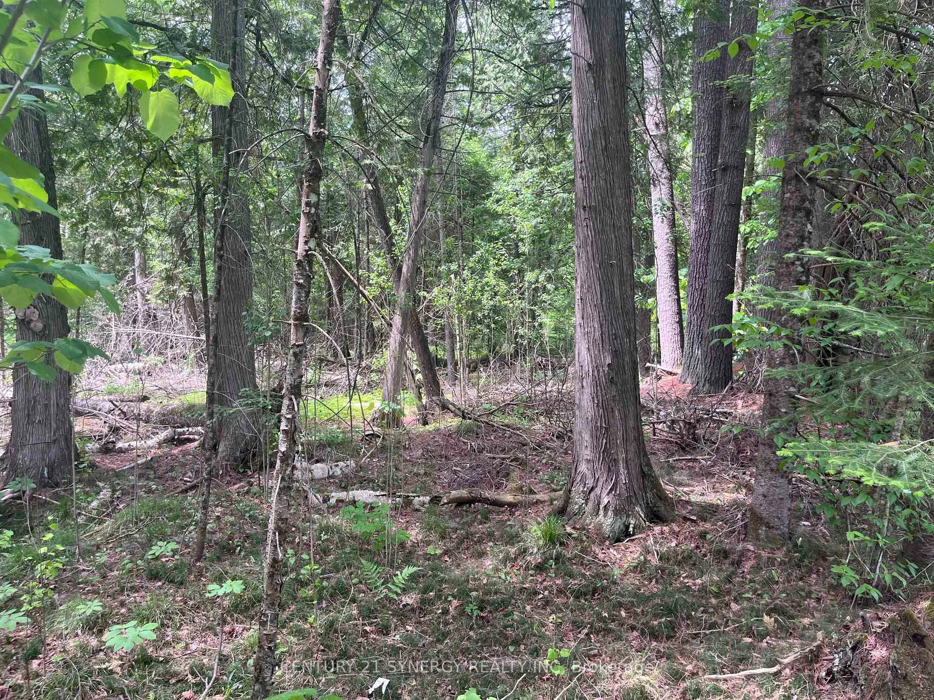 Photo 11 of 00 Bellamy Road, McNab/Braeside, Mcnab/Braeside Twps — HOMEH