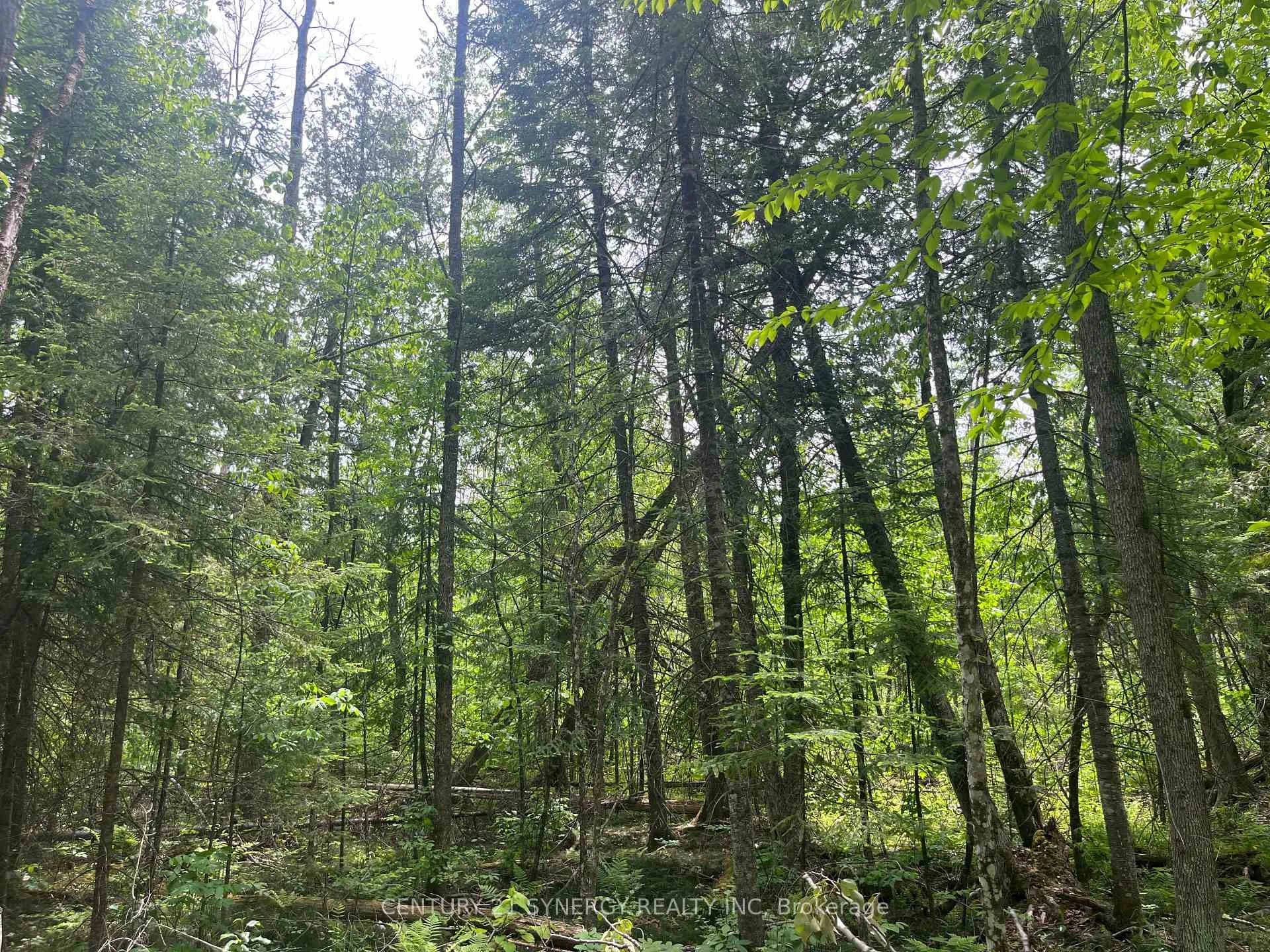Photo 18 of 00 Bellamy Road, McNab/Braeside, Mcnab/Braeside Twps — HOMEH