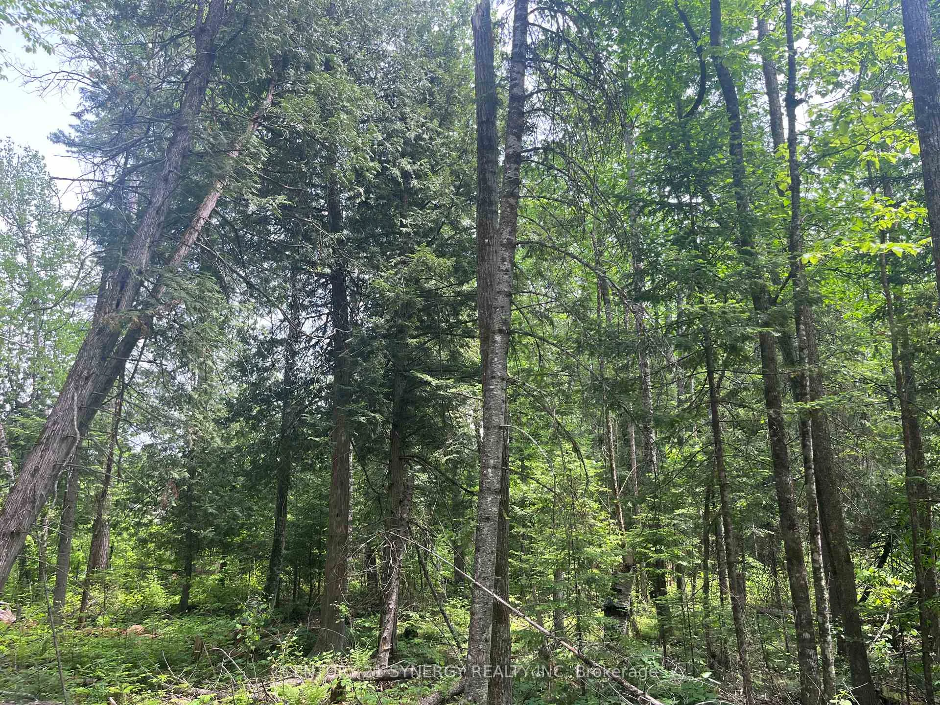 Photo 19 of 00 Bellamy Road, McNab/Braeside, Mcnab/Braeside Twps — HOMEH