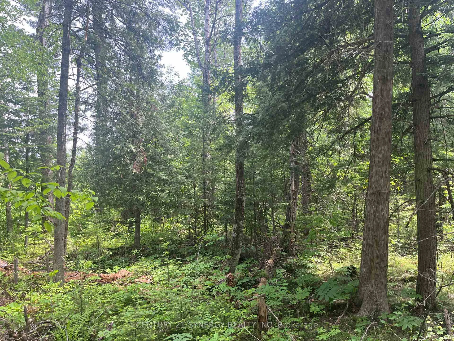 Photo 20 of 00 Bellamy Road, McNab/Braeside, Mcnab/Braeside Twps — HOMEH