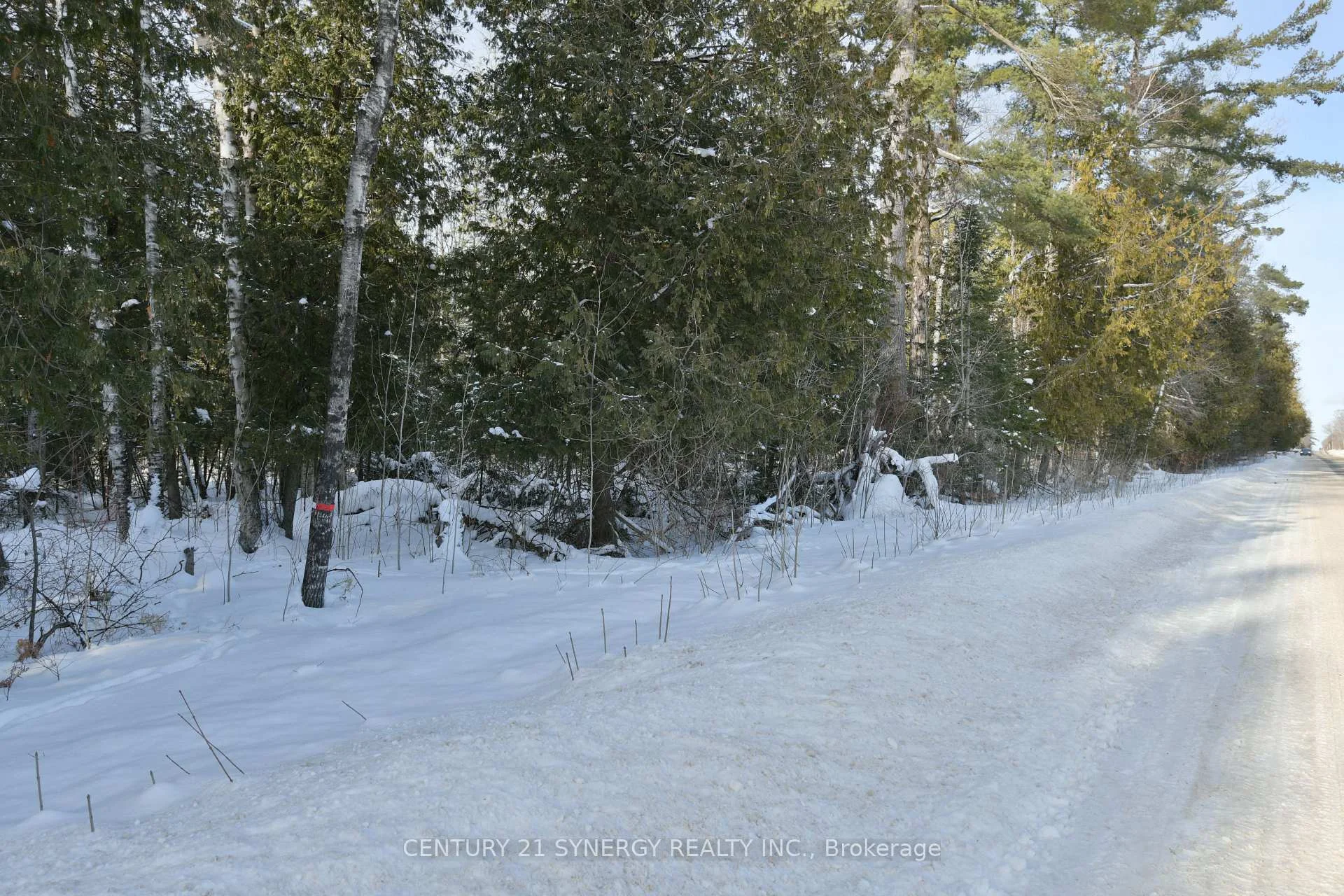 Photo 13 of 00 Bellamy Road, McNab/Braeside, Mcnab/Braeside Twps — HOMEH