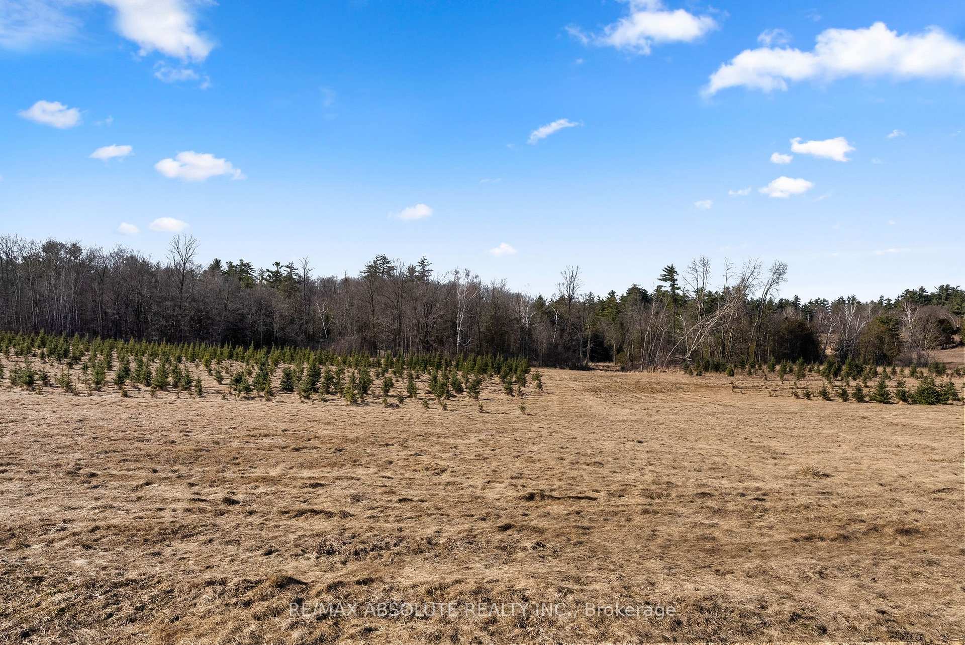 Photo 29 of 00 Highland Road, McNab/Braeside, Mcnab/Braeside Twps — HOMEH
