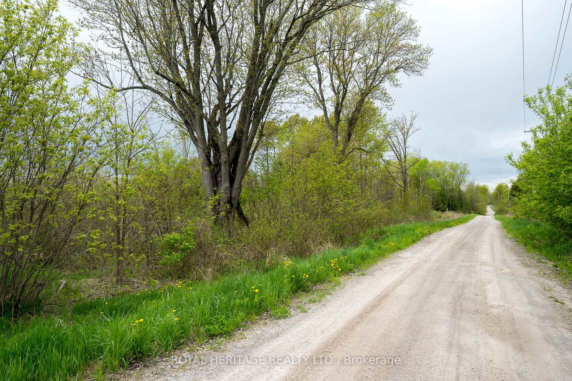 Photo 1 of Acreman Road, Madoc — HOMEH